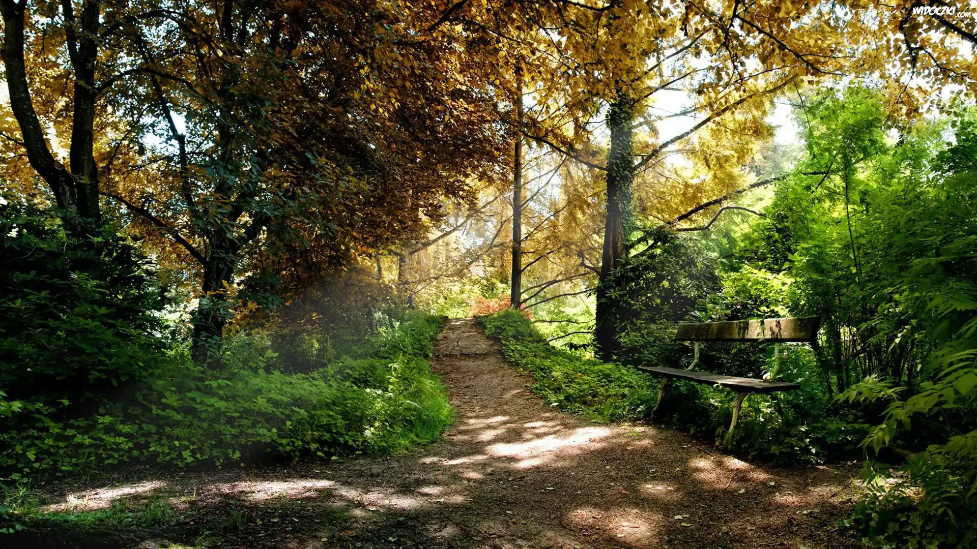 Park, Ścieżka, Ławeczka, Drzewa