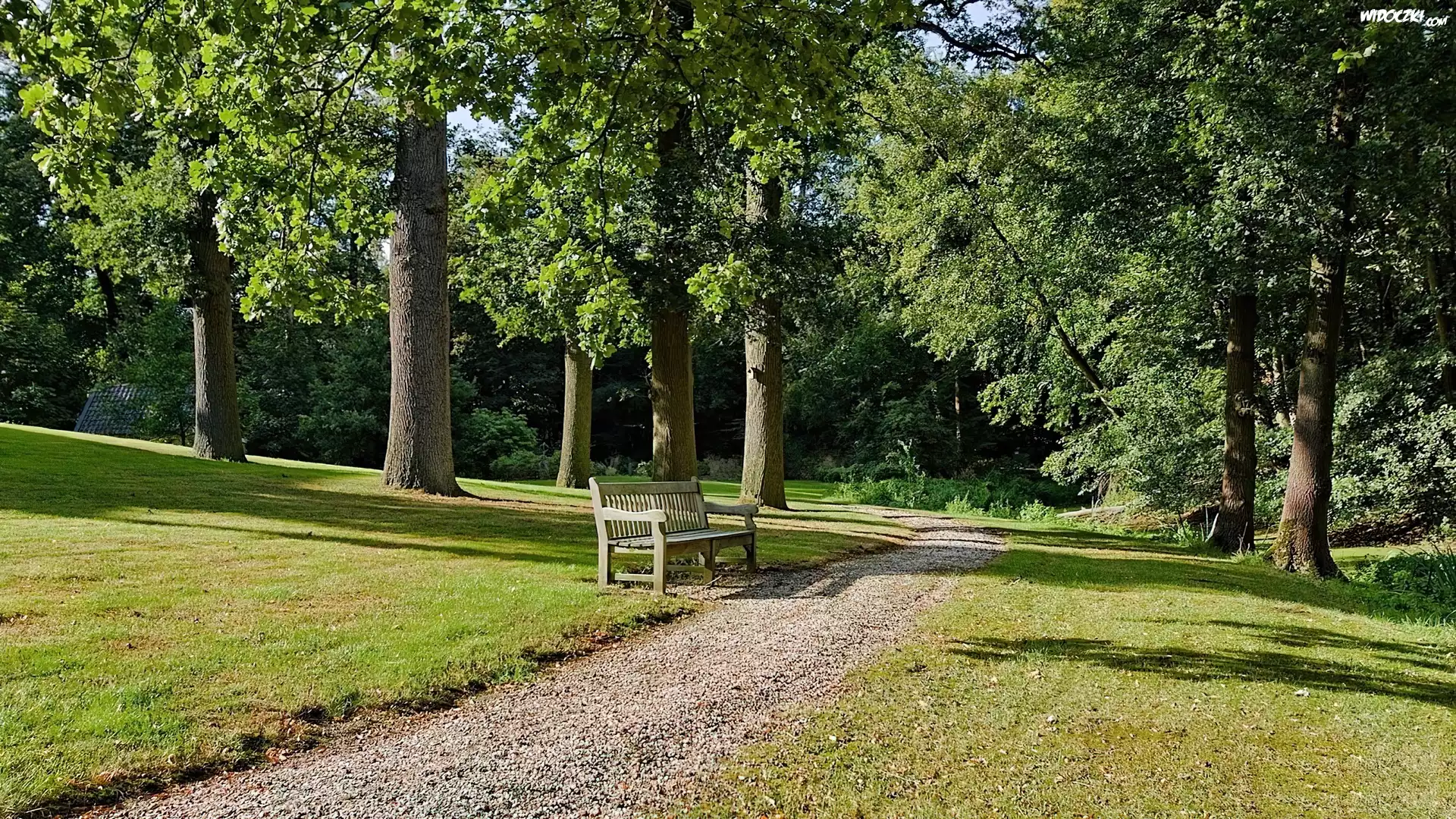 Park, Aleja, Ławka, Lato
