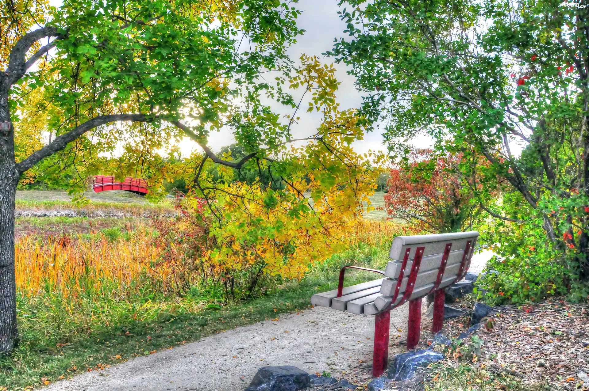 Park, Alejka, Ławka, Drzewa
