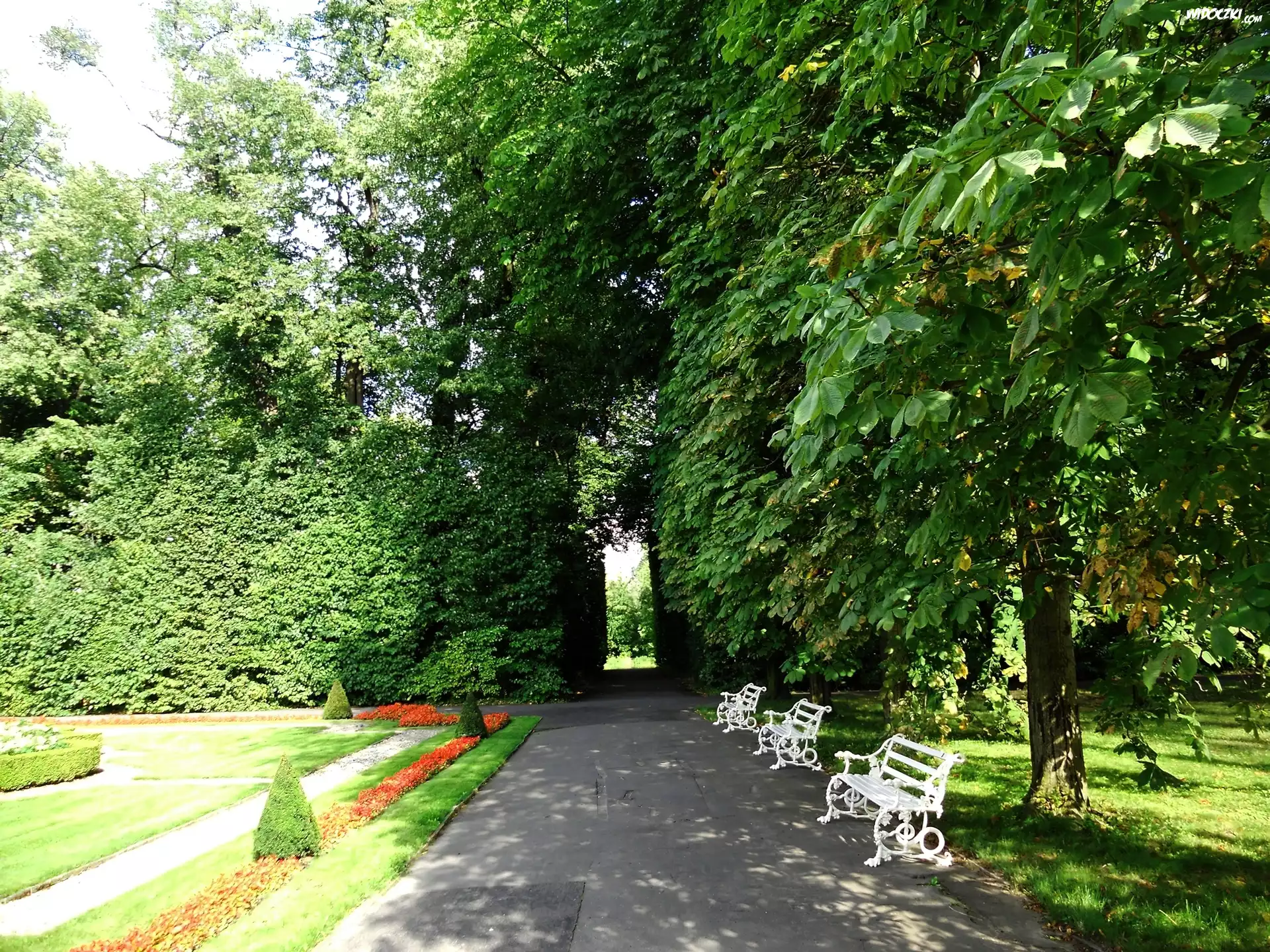 Park, Aleja, Ławki, Drzewa