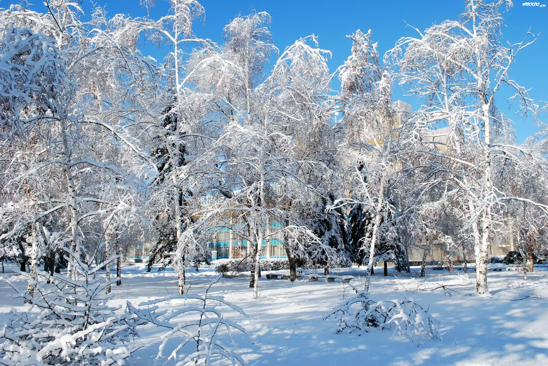 Park, Alejki, Ławki, Zima