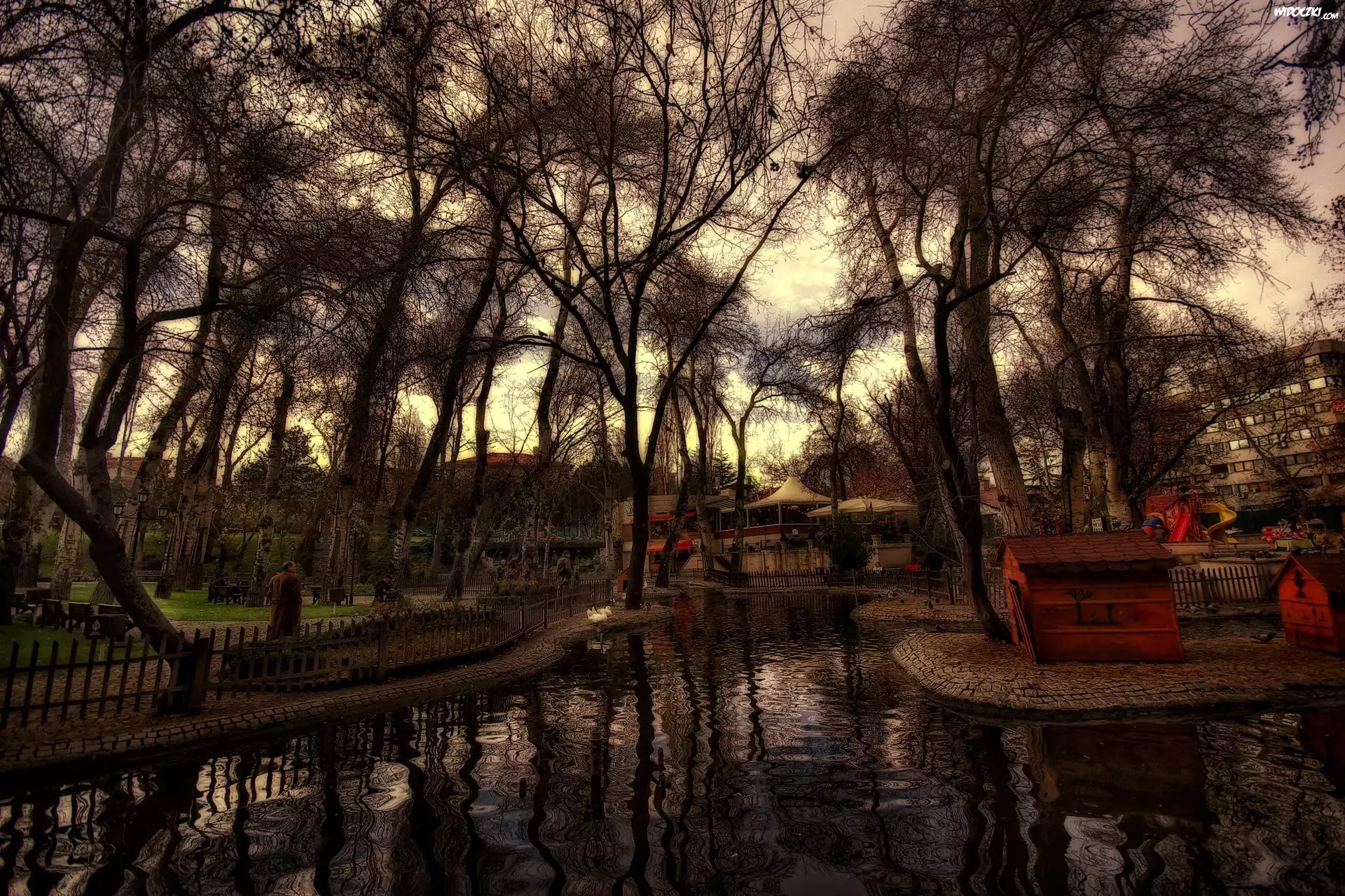 Park, Drzewa, Ławki, Woda