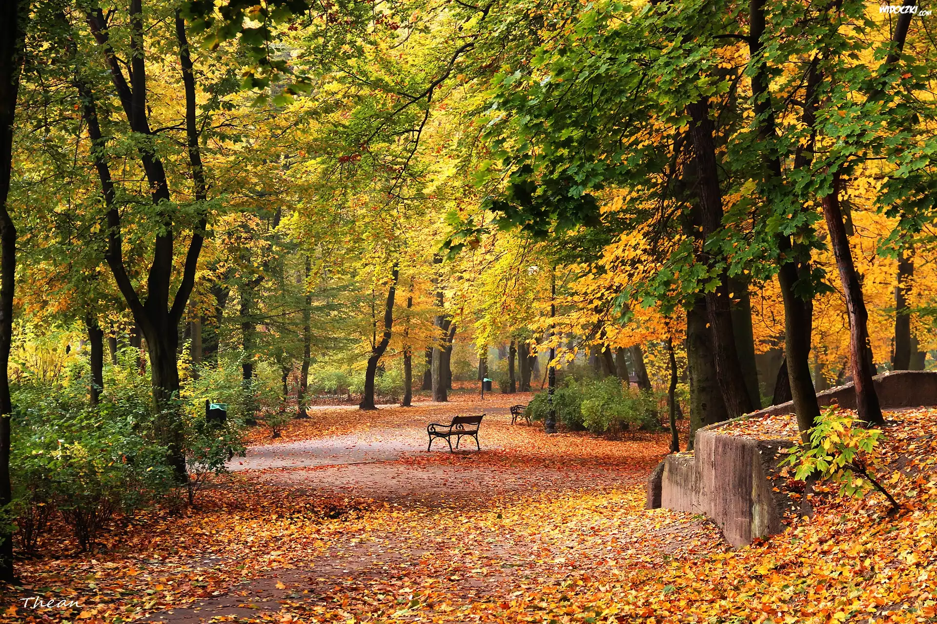 Park, Jesień, Ławki, Aleja