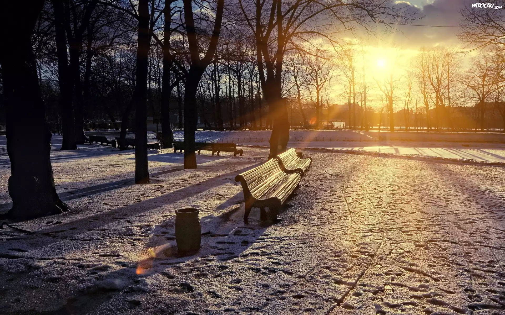Park, Zima, Przebijające, Słońce, Ławki, Drzewa
