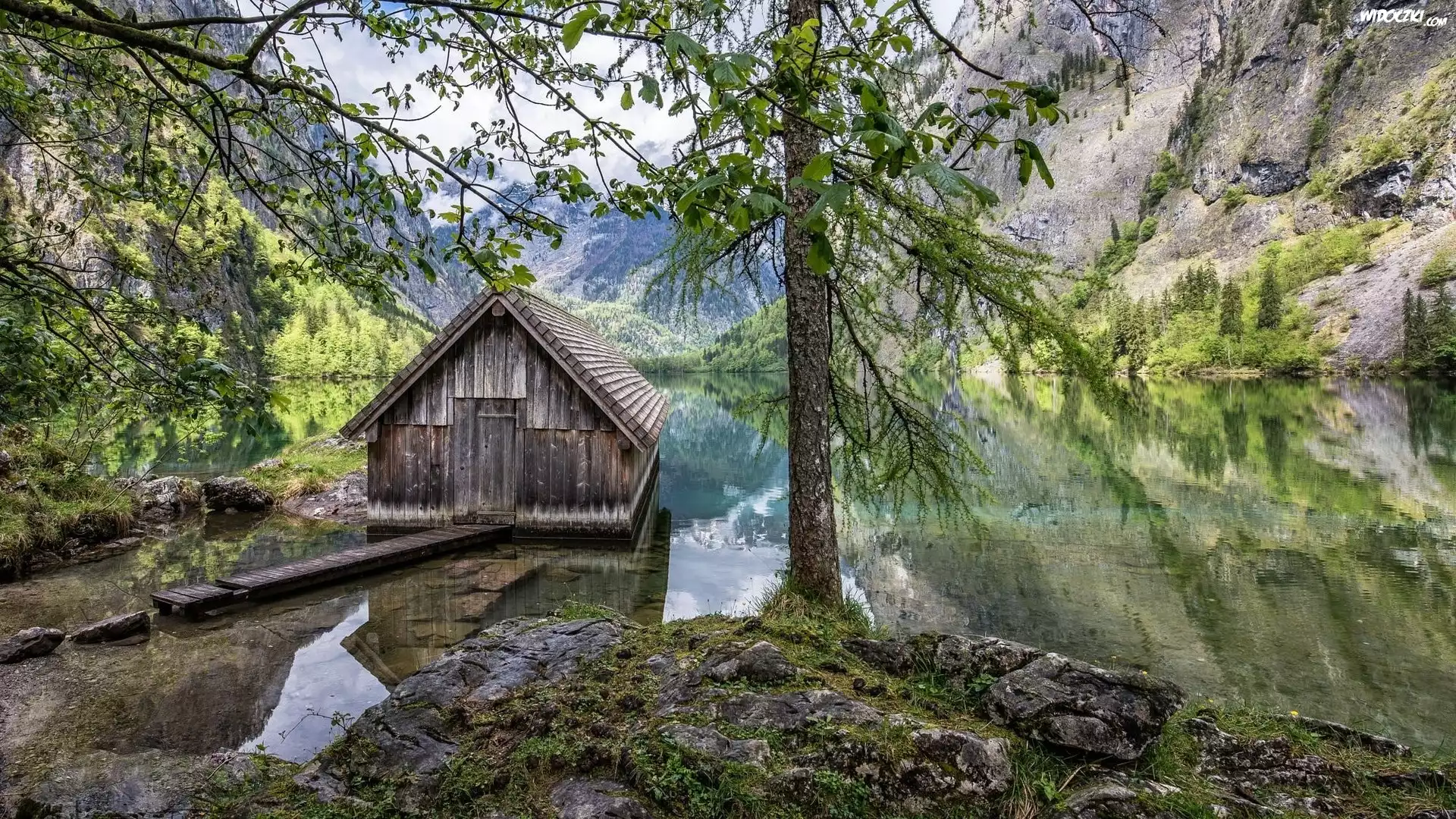 Jezioro Konigssee, Park Narodowy Berchtesgaden, Bawaria, Niemcy, Drewniana, Chata, Drzewo, Góry