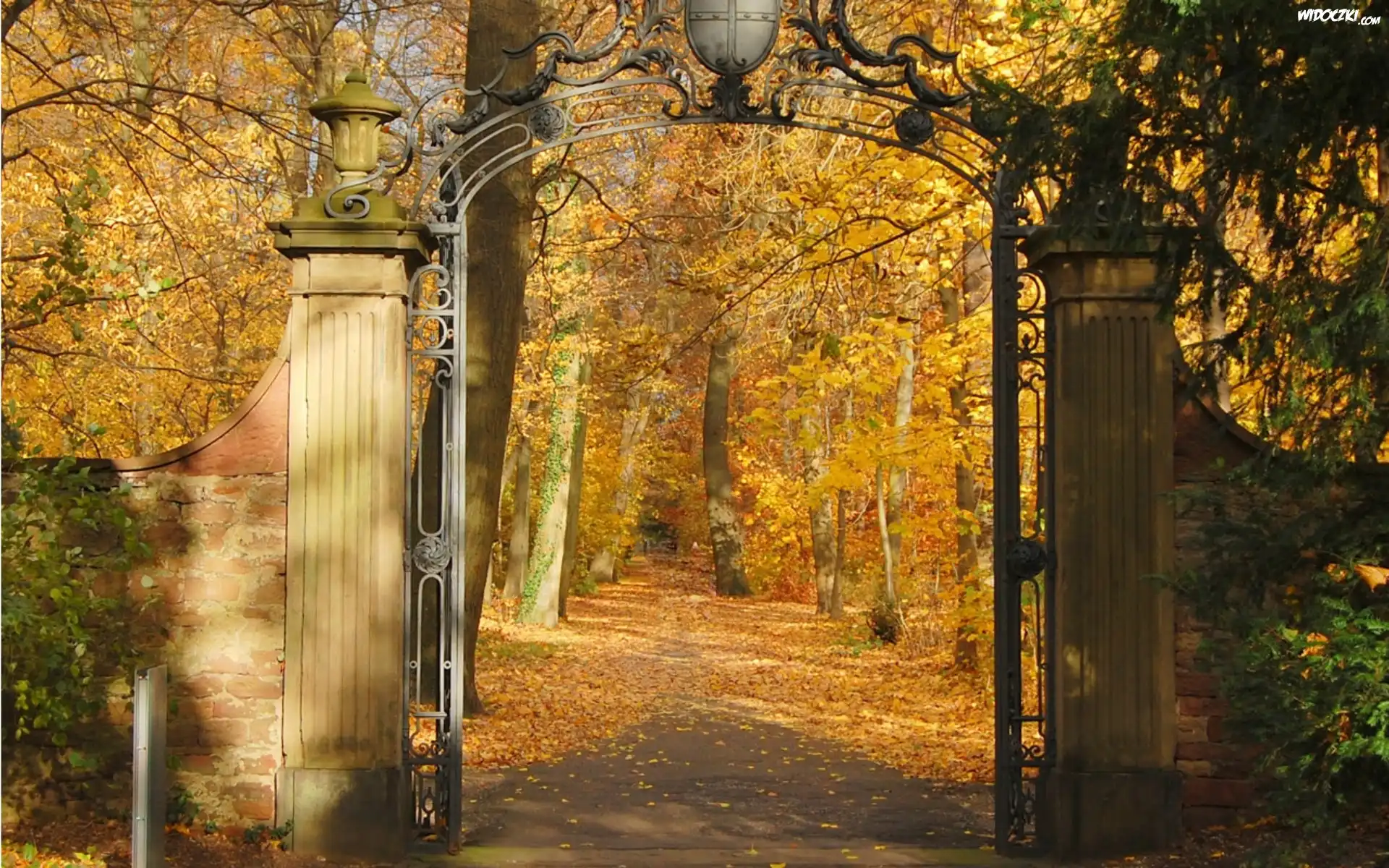 Park, Drzewa, Liście, Brama, Jesień