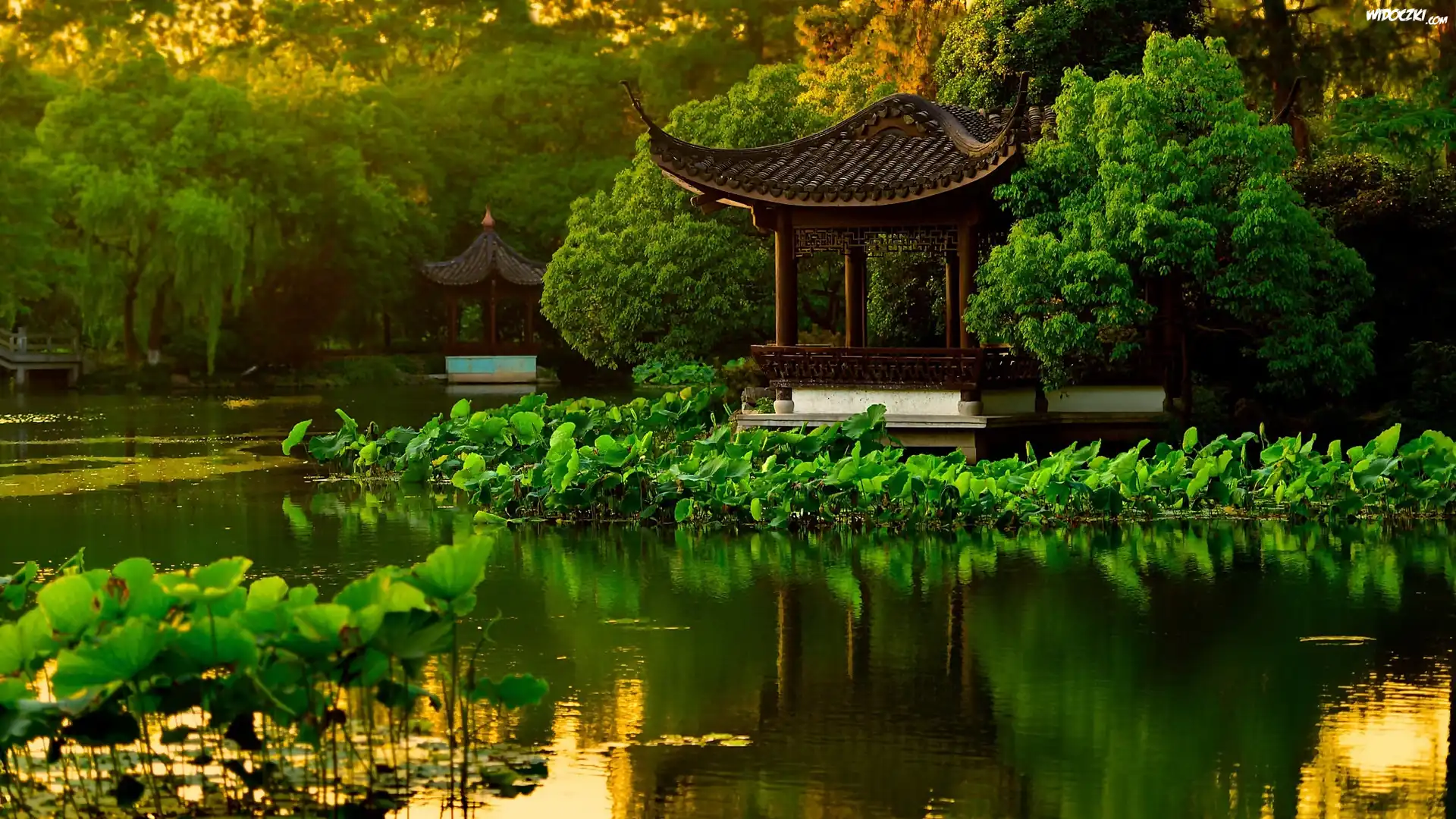 Staw, Park, Altanki, Drzewa, Liście Lotosu, Hangzhou, Chiny
