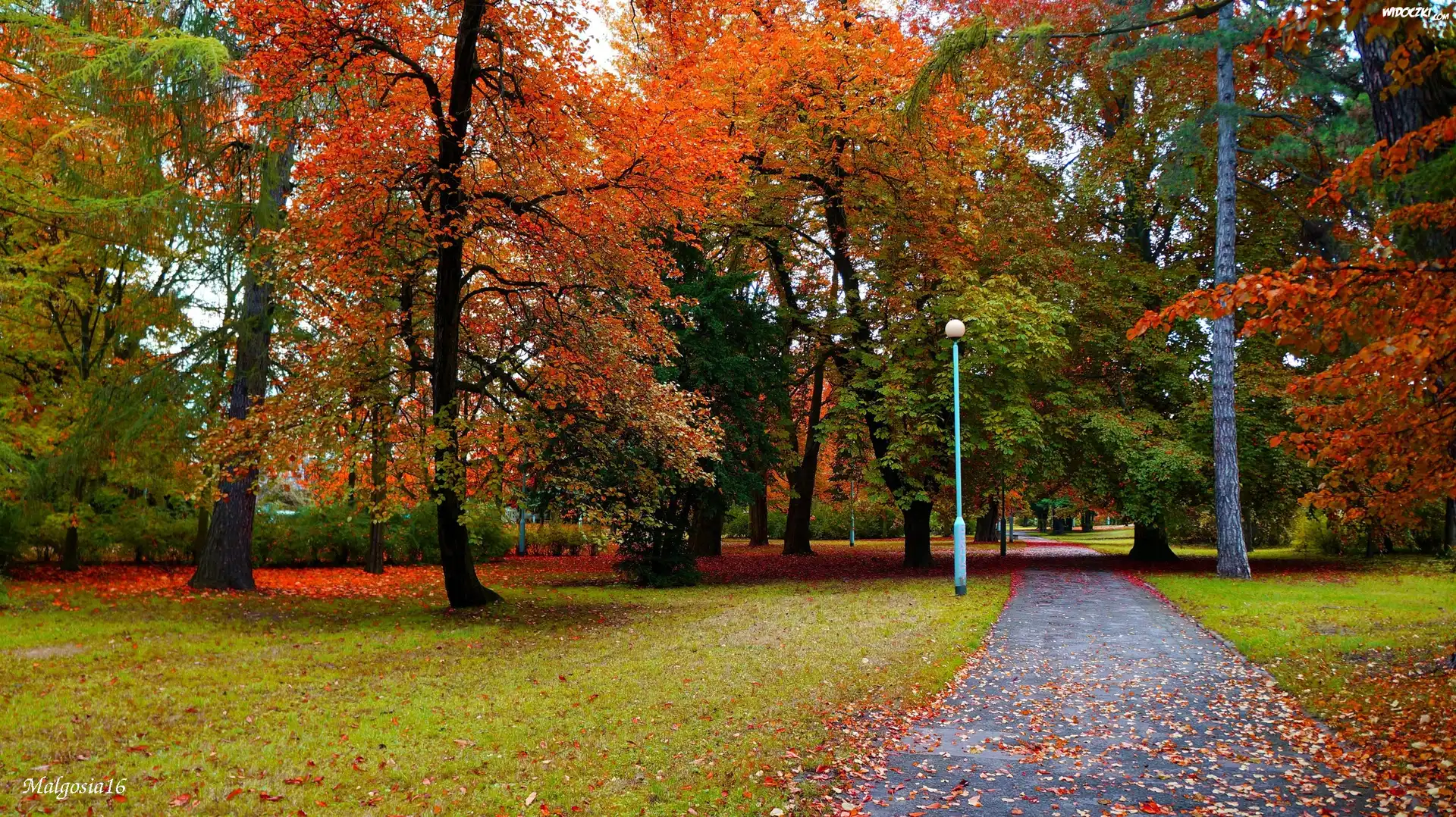 Park, Jesień, Drzewa, Alejka, Ścieżka, Droga