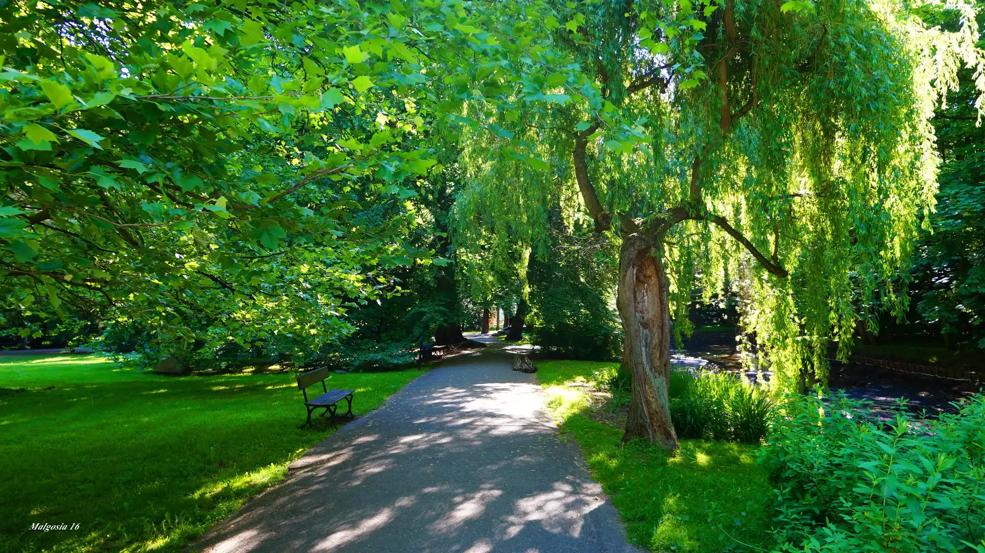 Park, Drzewa, Zieleń, Alejka, Ścieżka, Ławka
