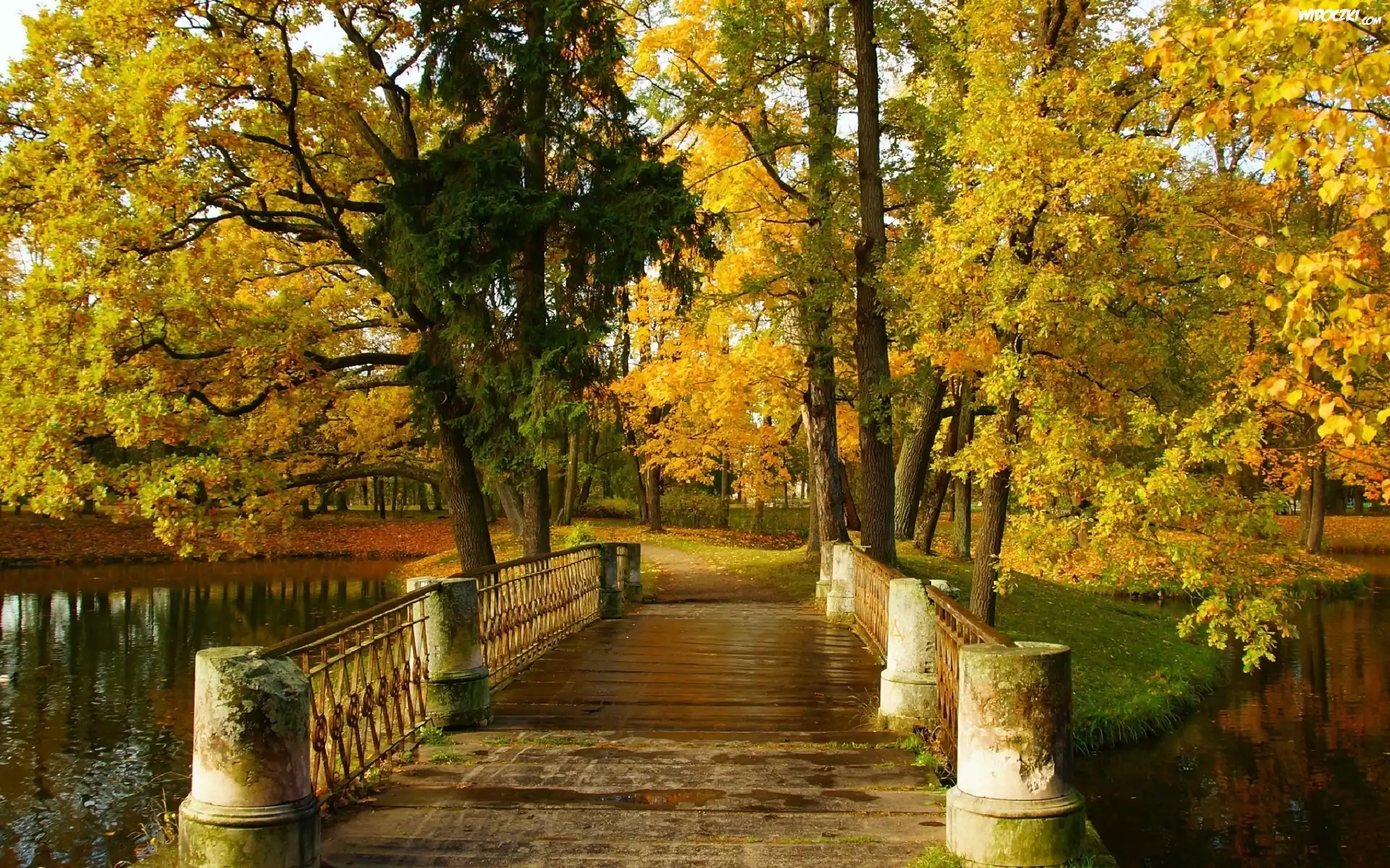 Park, Jesień, Drzewa, Mostek