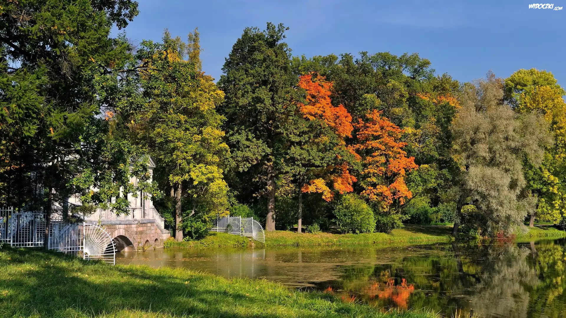 Park, Jezioro, Drzewa, Jesień