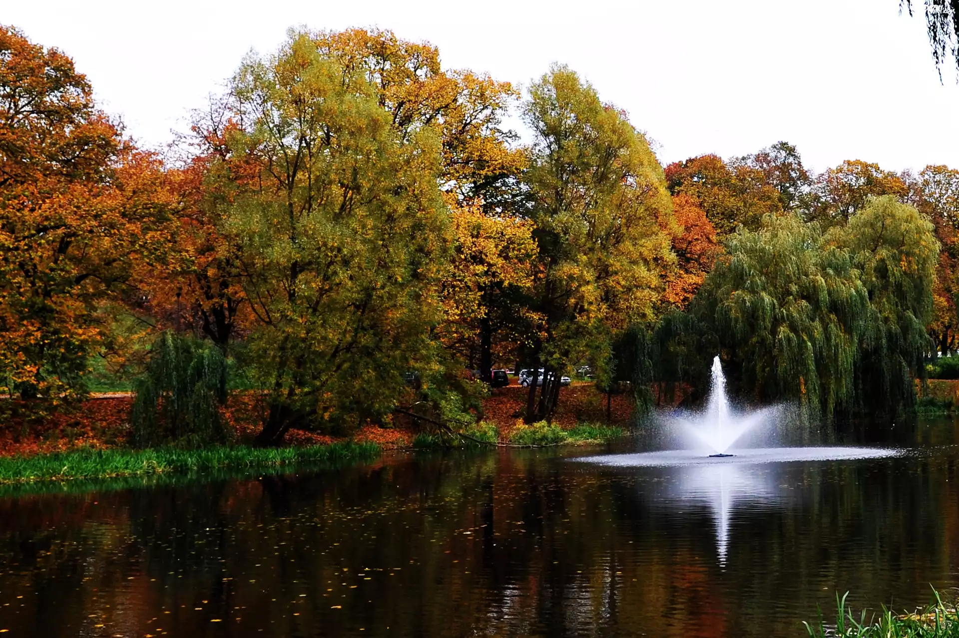 Park, JesieniÄ…, Kolorowe, Drzewa, Fontanna
