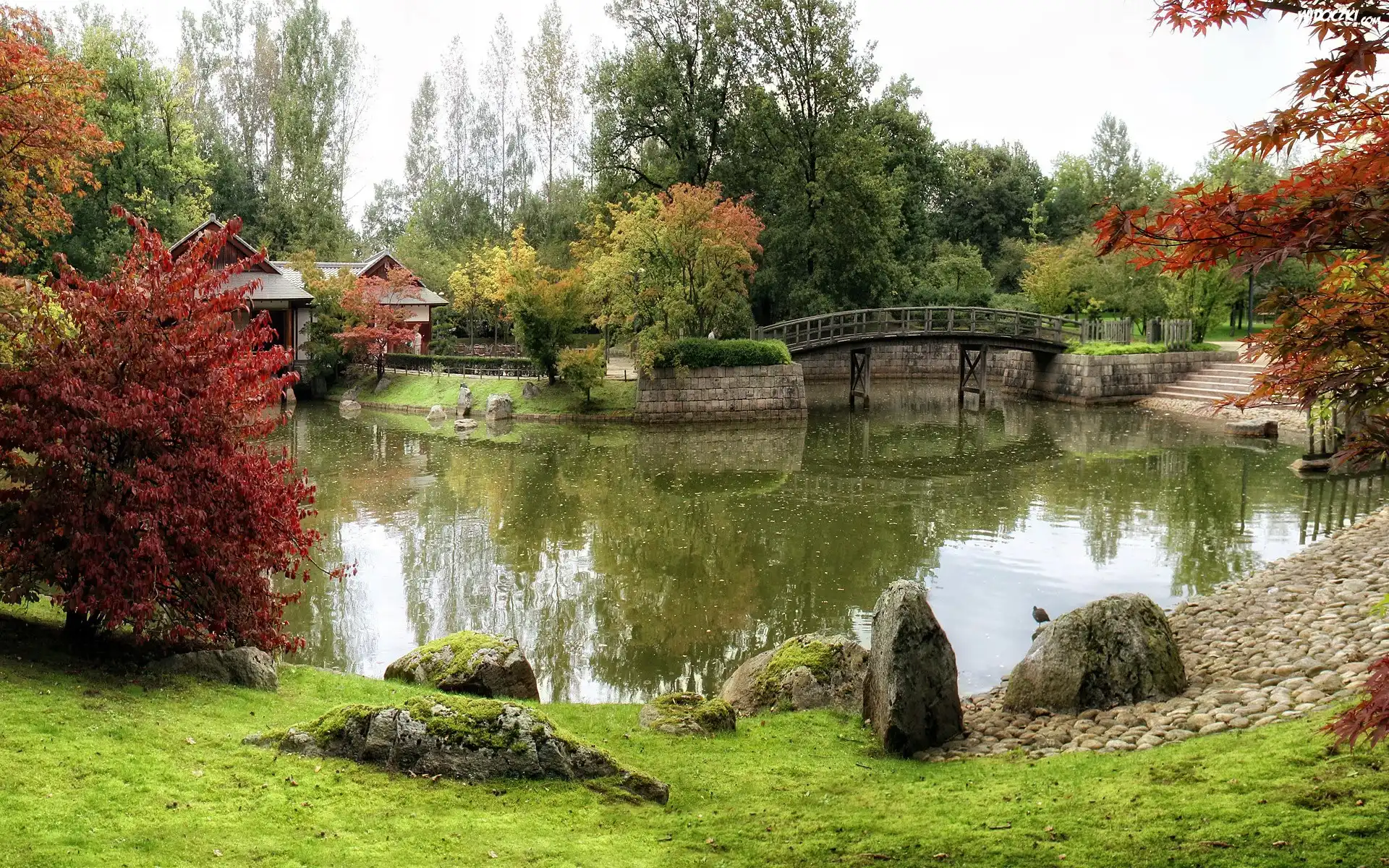 Park, Rzeczka, Mostek, Kolorowe, Drzewa, Jesień