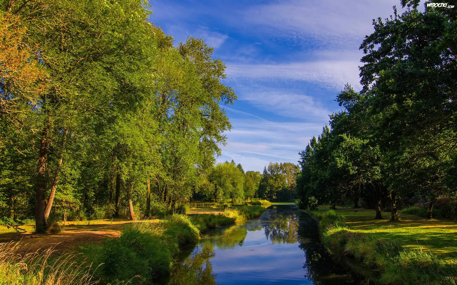 Park, Rzeka, Drzewa, Trawy
