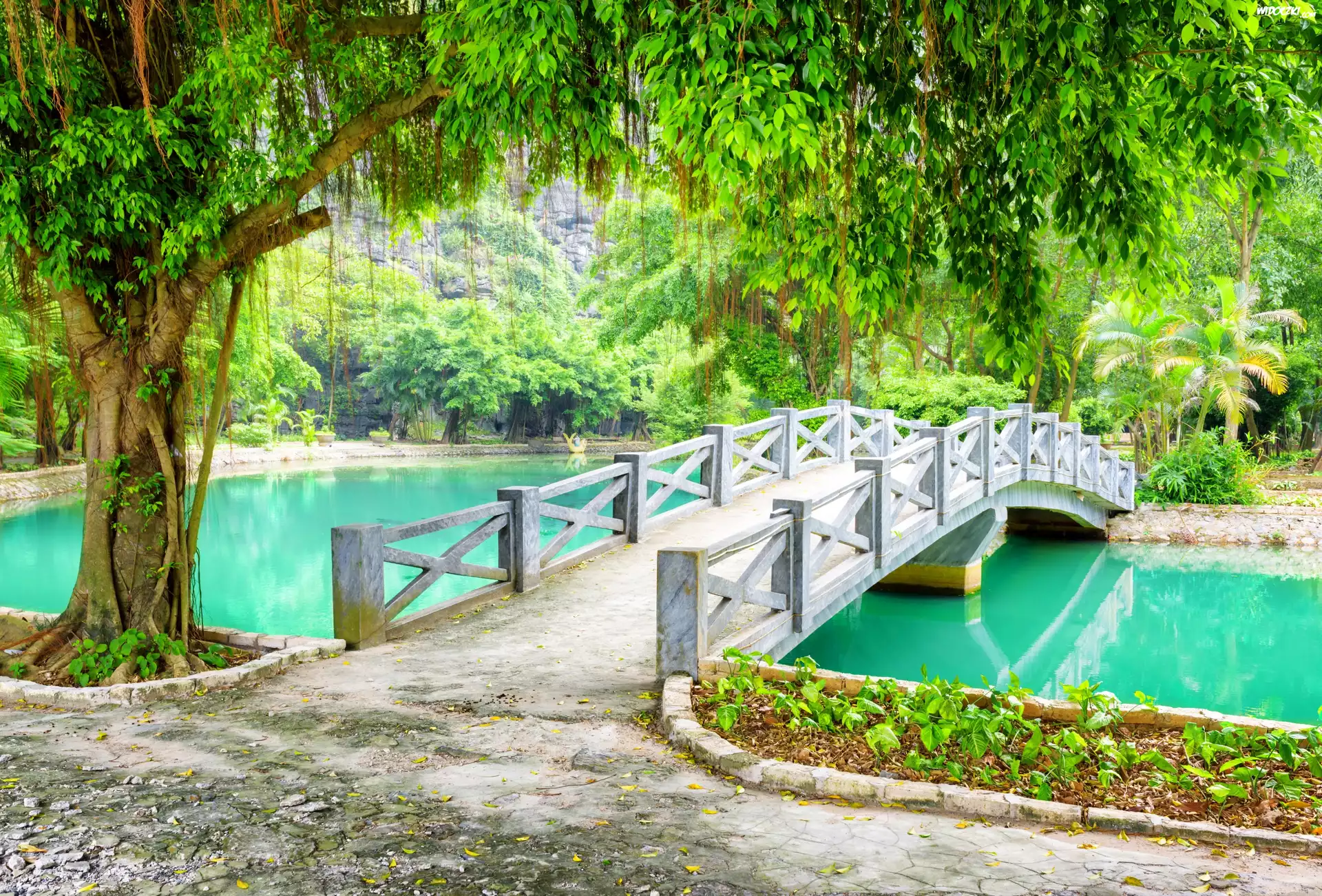 Wietnam, Park, Mostek, Rzeka, Prowincja Ninh Binh, Drzewo