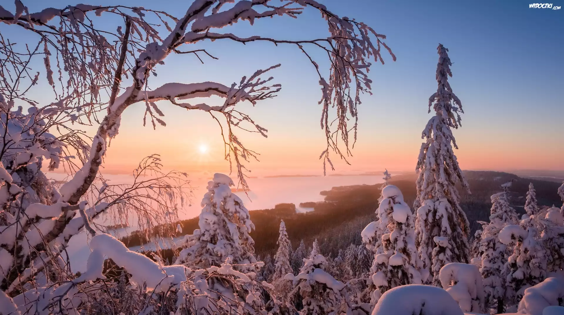 Finlandia, Region Karelia Północna, Park Narodowy Koli, Jezioro Pielinen, Zima, Drzewa, Promienie słońca, Mgła