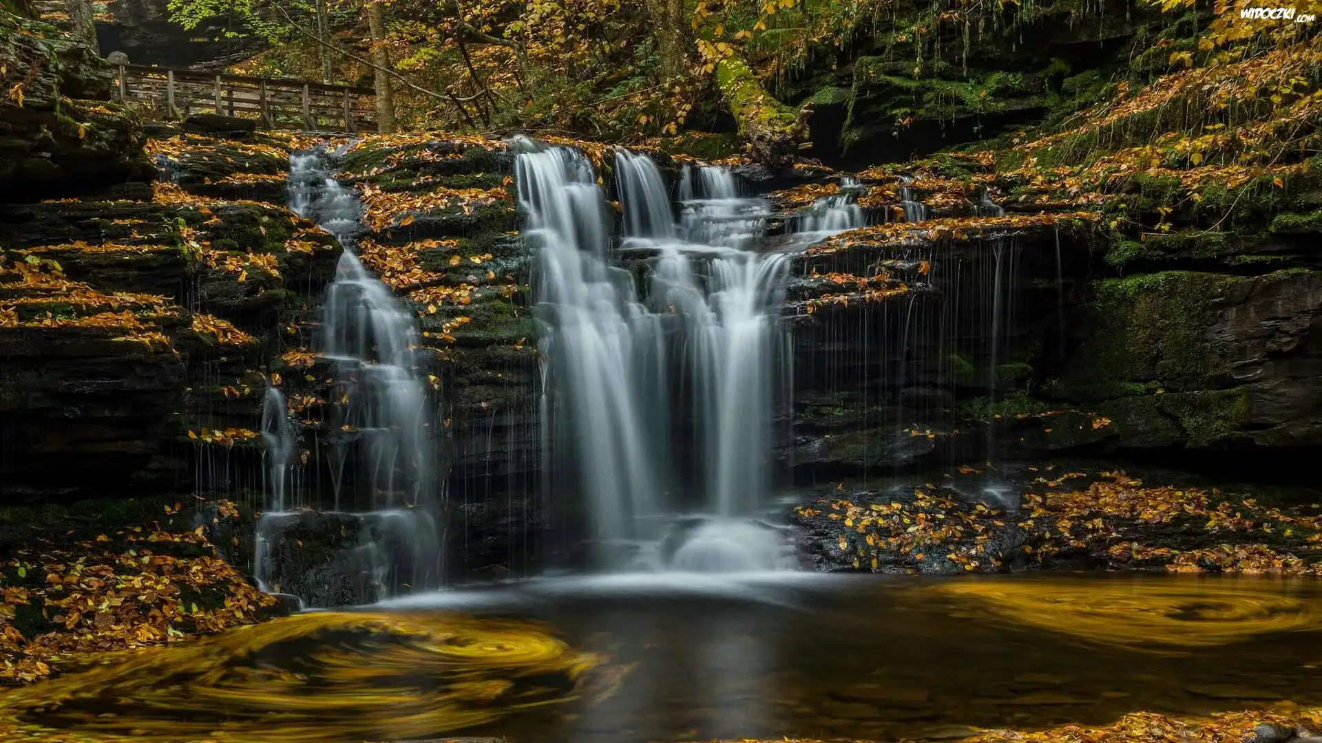 Park stanowy Ricketts Glen State Park, Wodospad, Skały, Las, Stan Pensylwania, Stany Zjednoczone