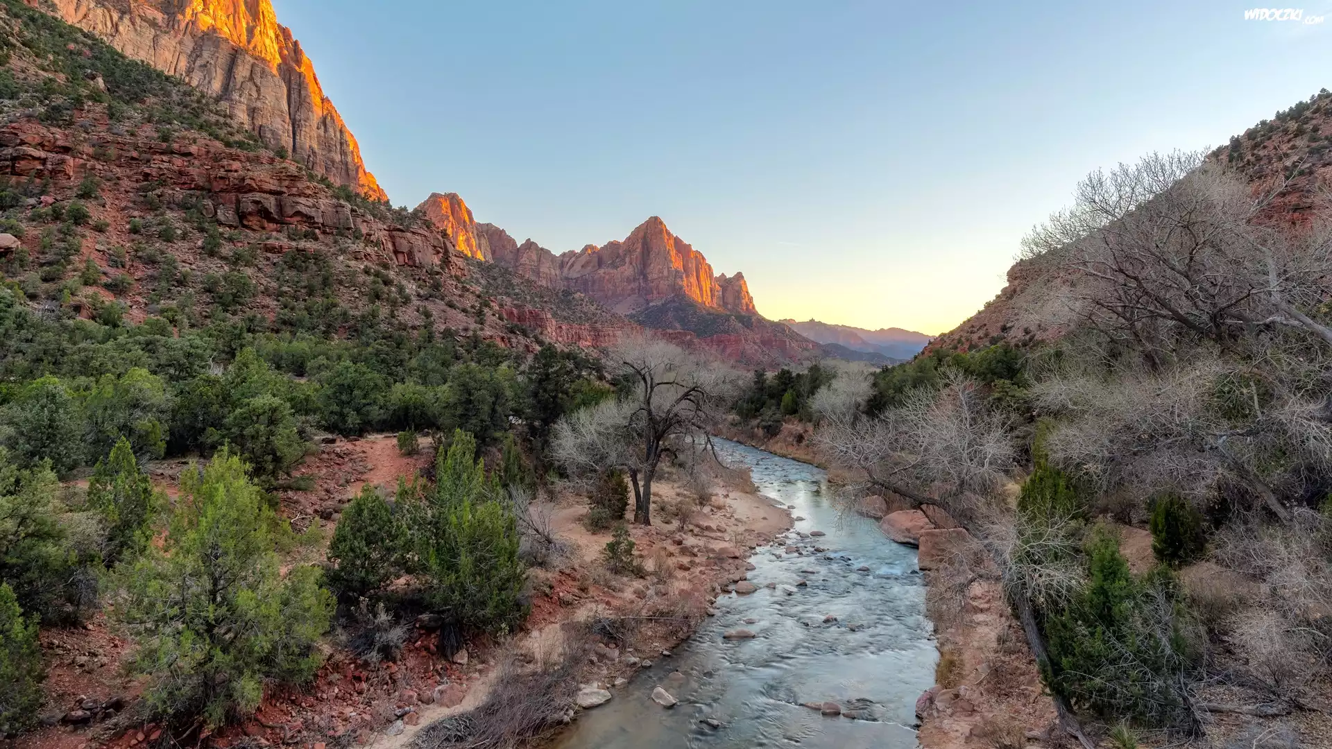 Park Narodowy Zion, Góry Watchman, Drzewa, Rzeka Virgin River, Stan Utah, Stany Zjednoczone