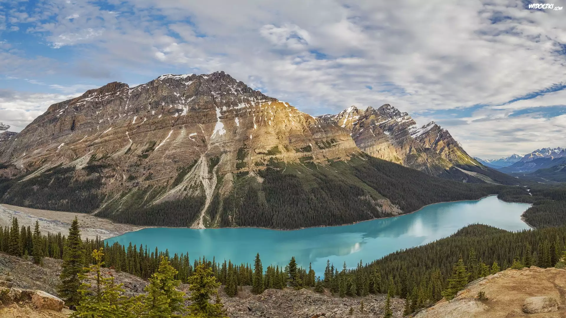 Park Narodowy Banff, Góry, Canadian Rockies, Jezioro, Peyto Lake, Lasy, Drzewa, Alberta, Kanada