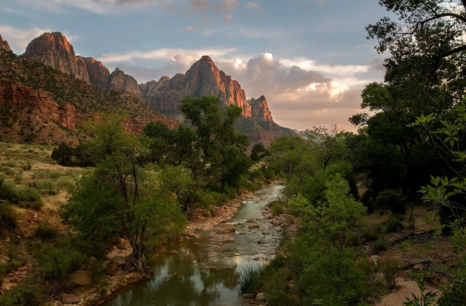 Park Narodowy Zion, Góry Watchman, Rzeka Virgin River, Stan Utah, Stany Zjednoczone, Drzewa