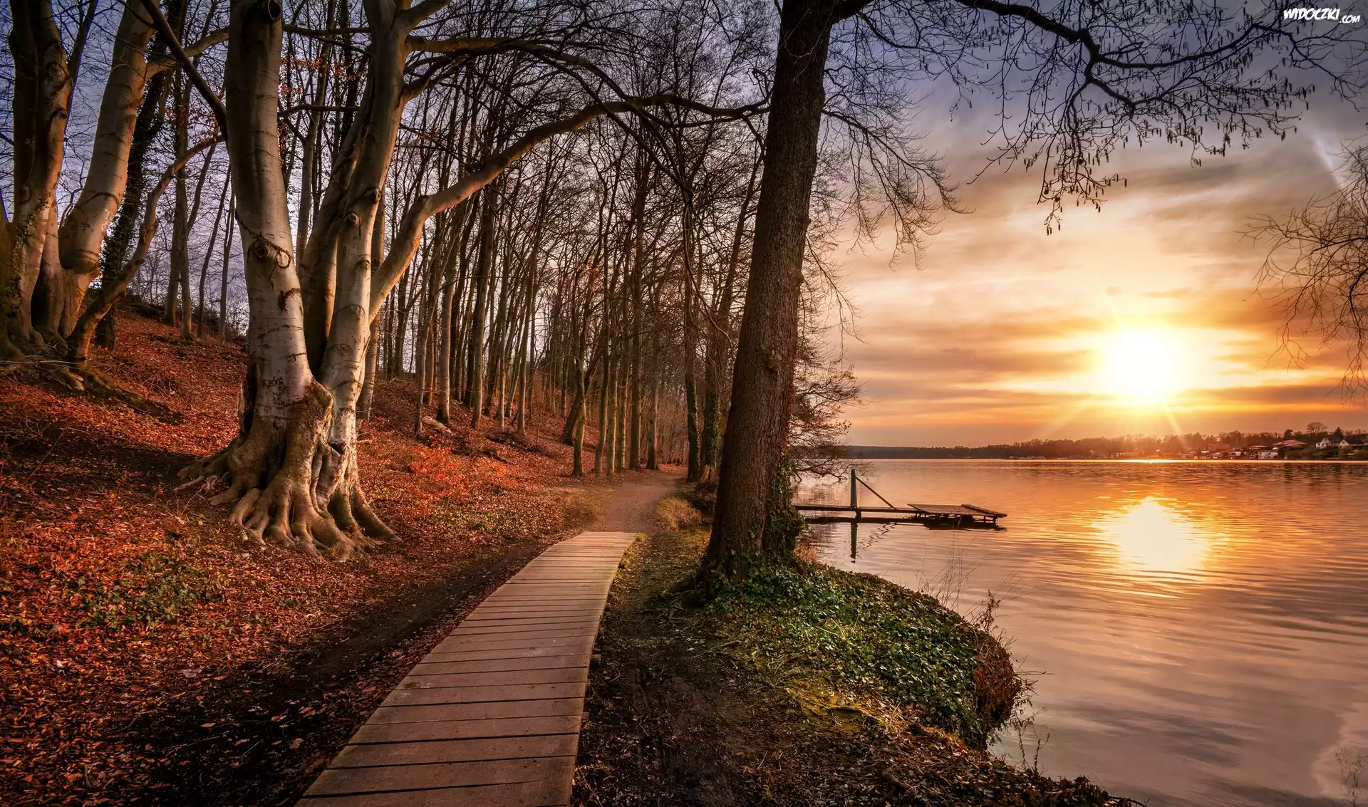 Holandia, Prowincja Utrecht, Wieś Leersum, Park, Jezioro, Pomost, Ścieżka, Jesień, Wschód słońca