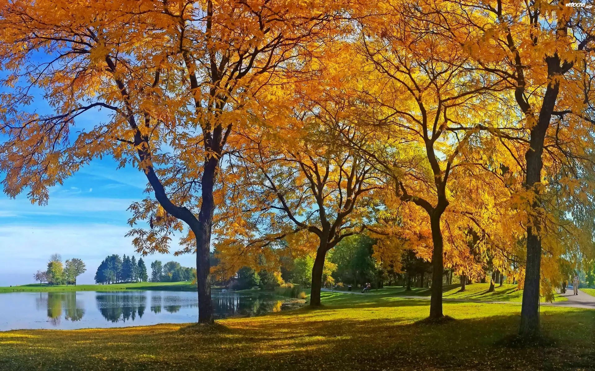 Park, Alejki, Jesień, Staw