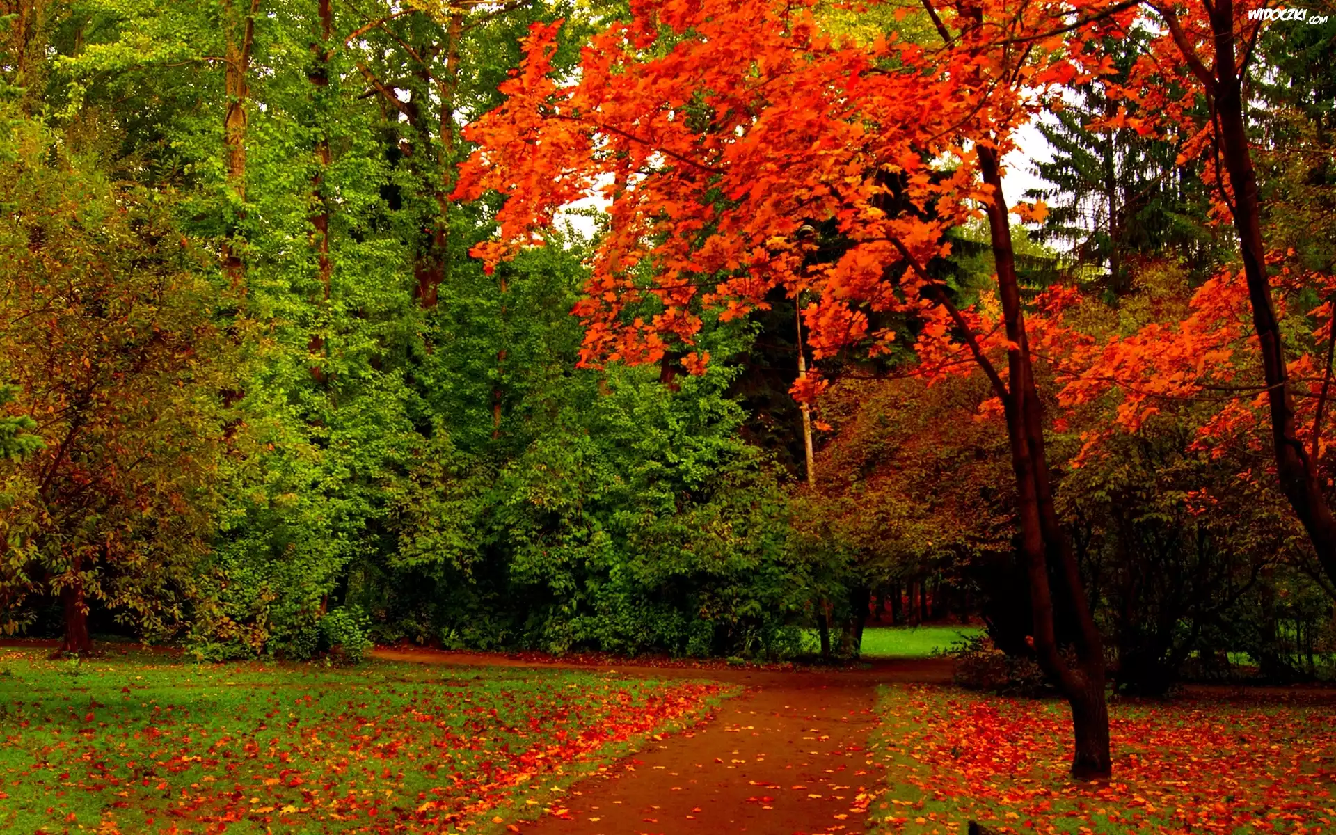 Jesień, Park, Ścieżka