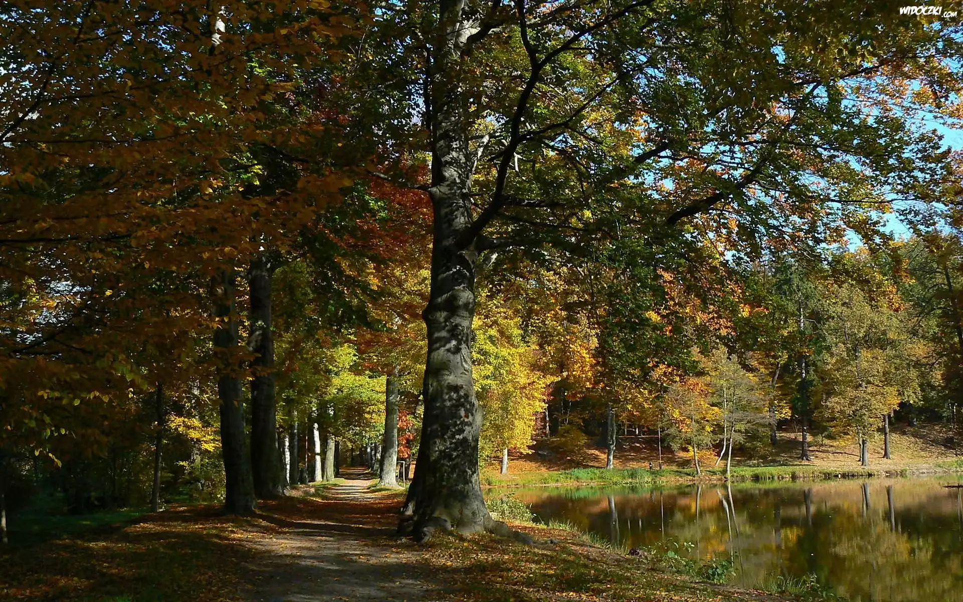 Jesień, Park, Staw