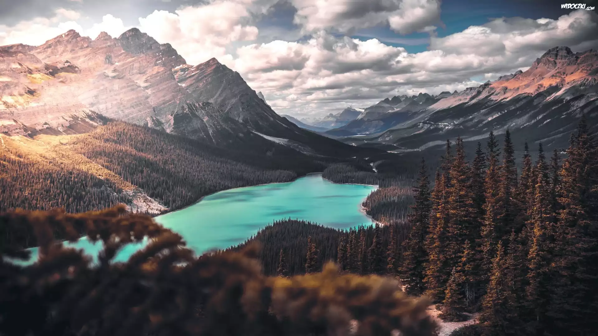 Park Narodowy Banff, Jezioro, Peyto Lake, Góry Skaliste, Lasy, Drzewa, Chmury, Alberta, Kanada