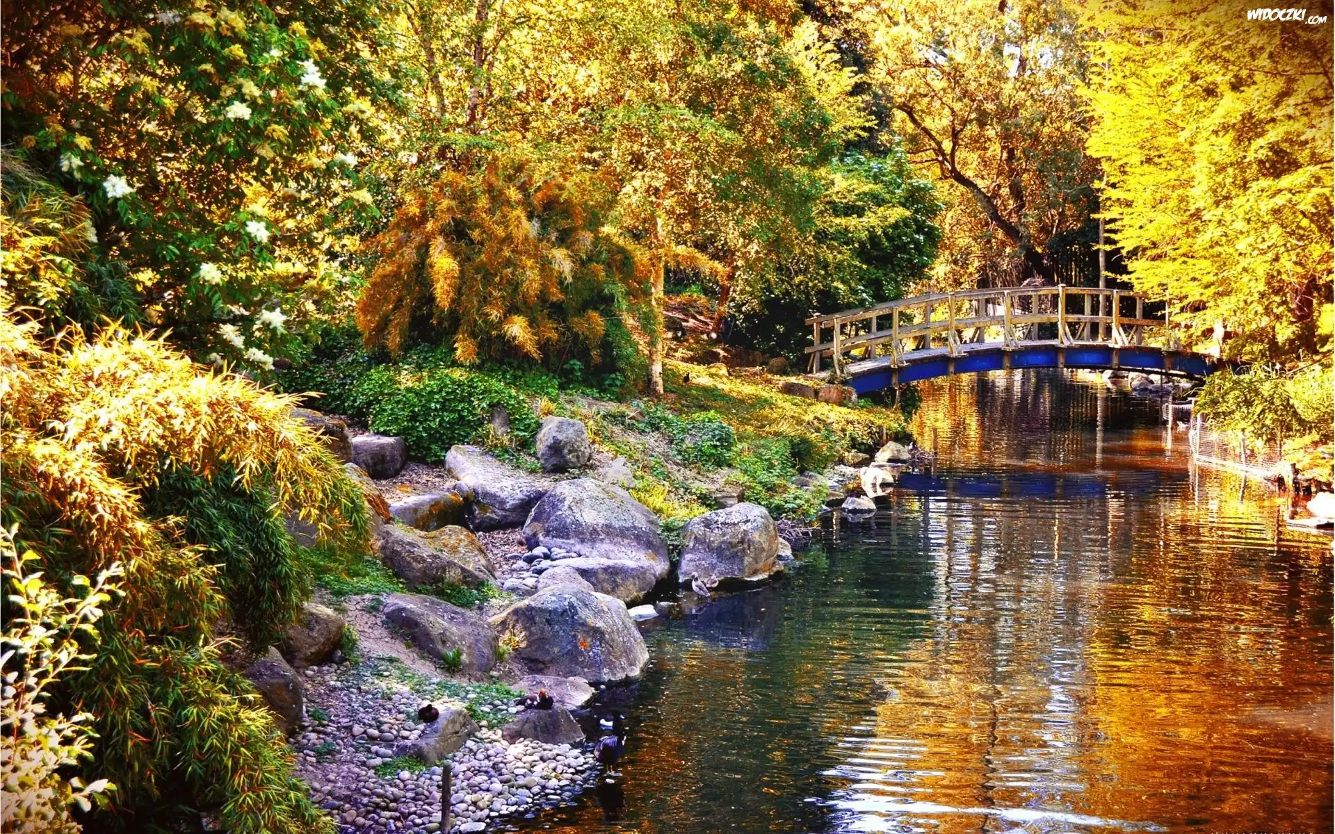 Park, Rzeczka, Mostek, Kamienie, Jesień