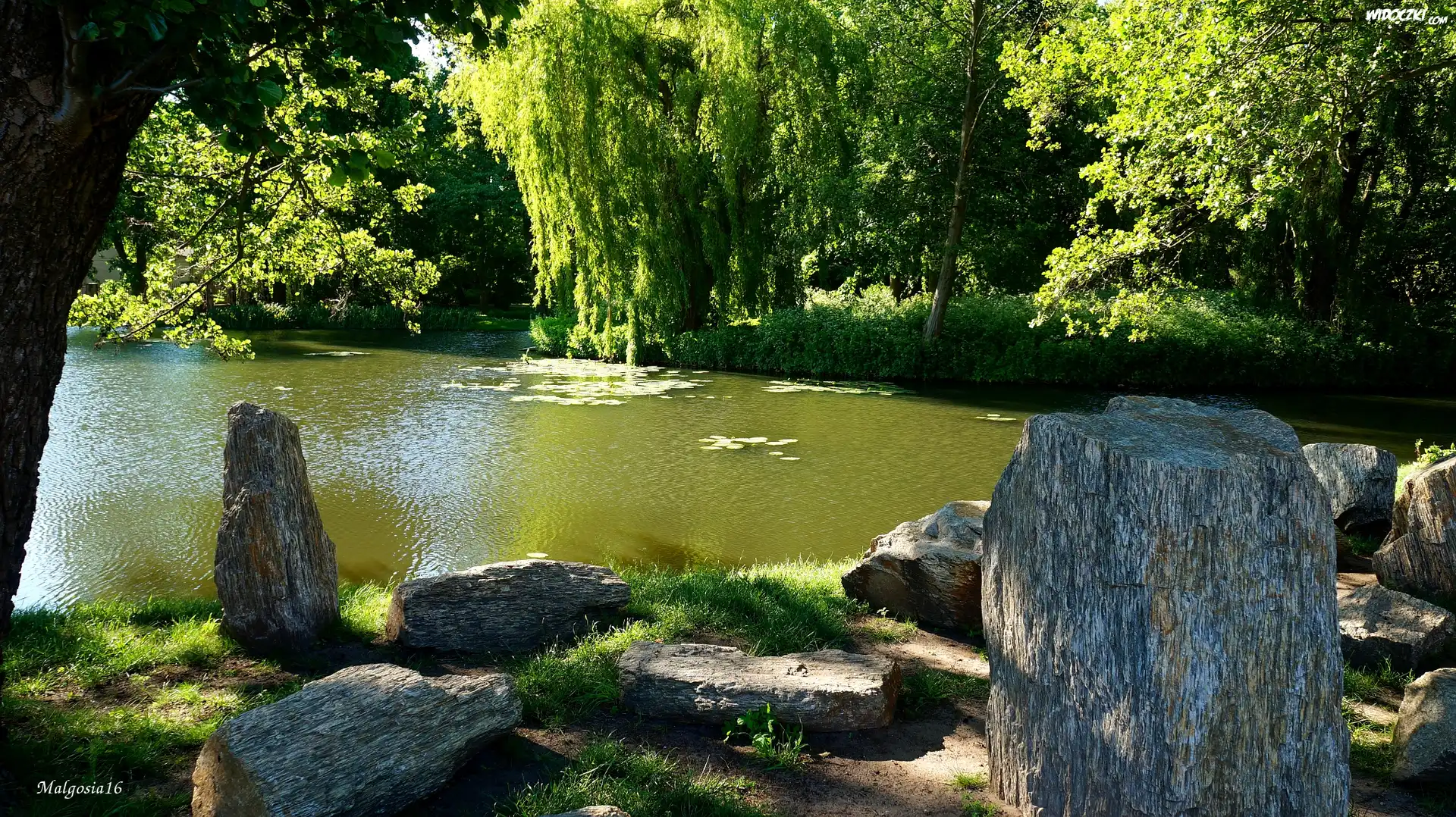Park, Staw, Kamienie, Drzewa