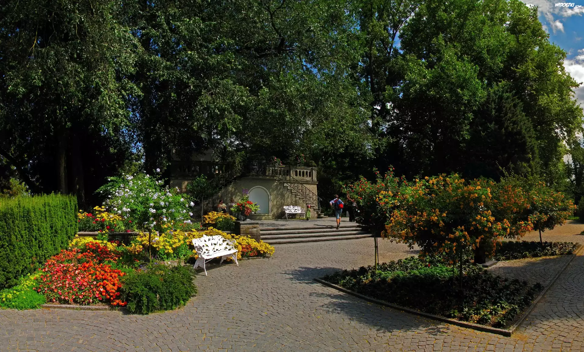 Park, Drzewa, Kwiaty, Ławka