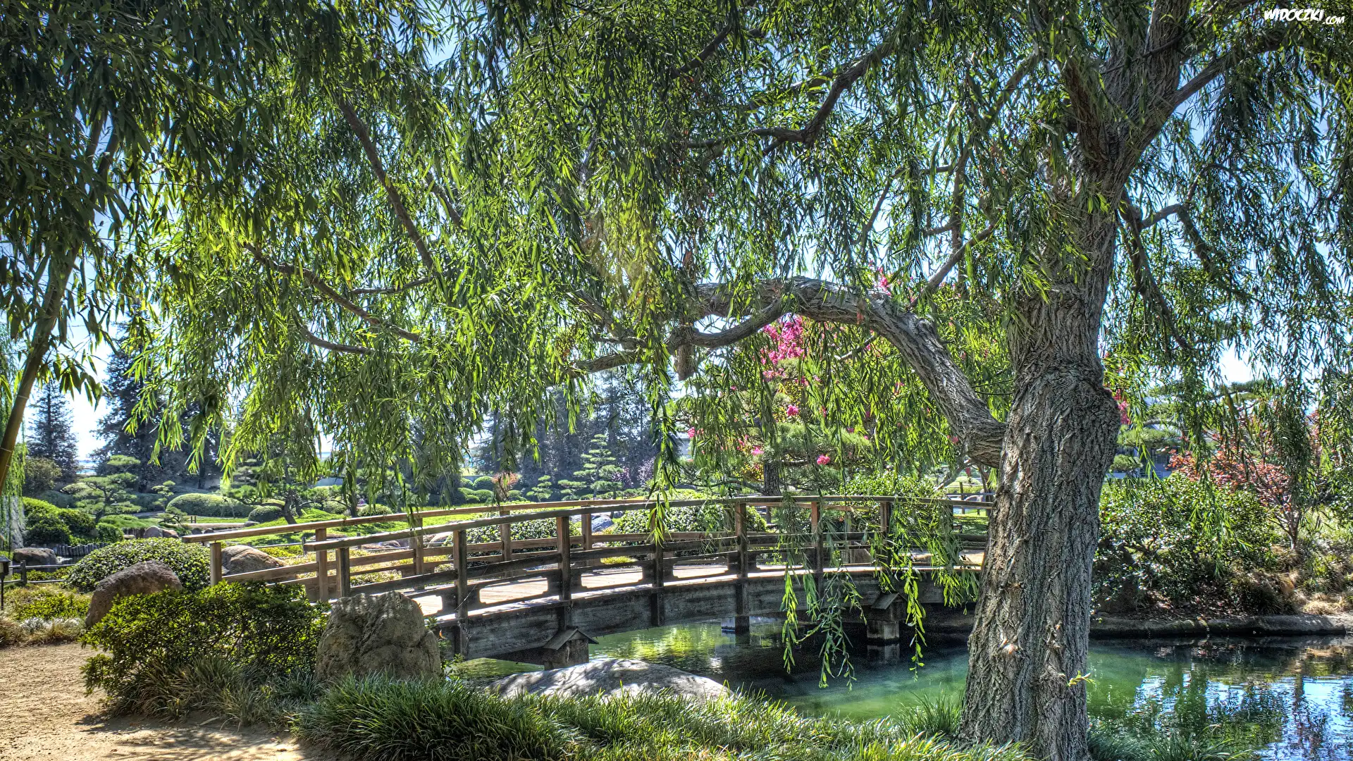 Park, Staw, Most, Krzewy, Kwiaty, Drzewa