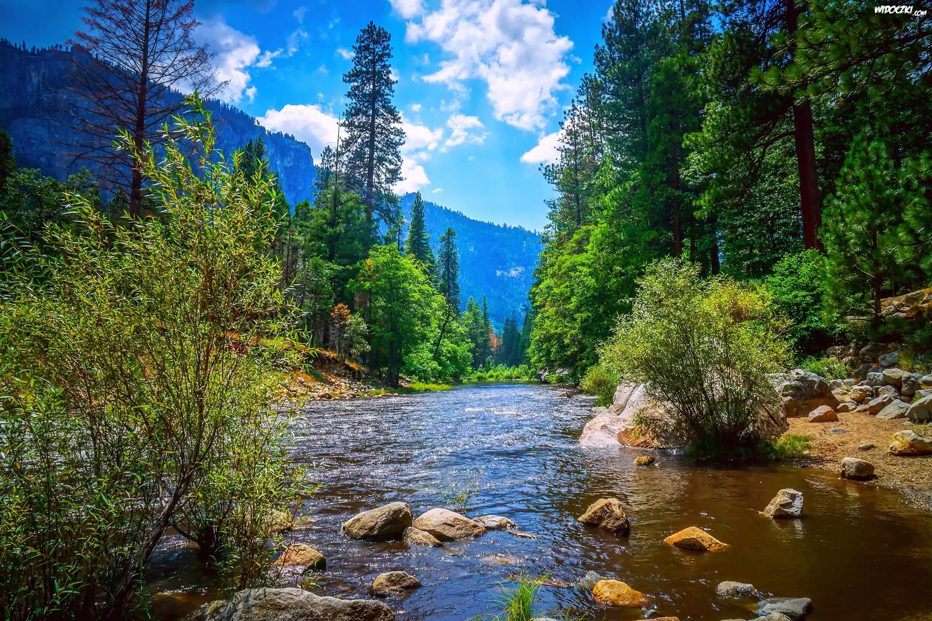 Kalifornia, Park Narodowy Yosemite, Rzeka, Góry, Drzewa, Las