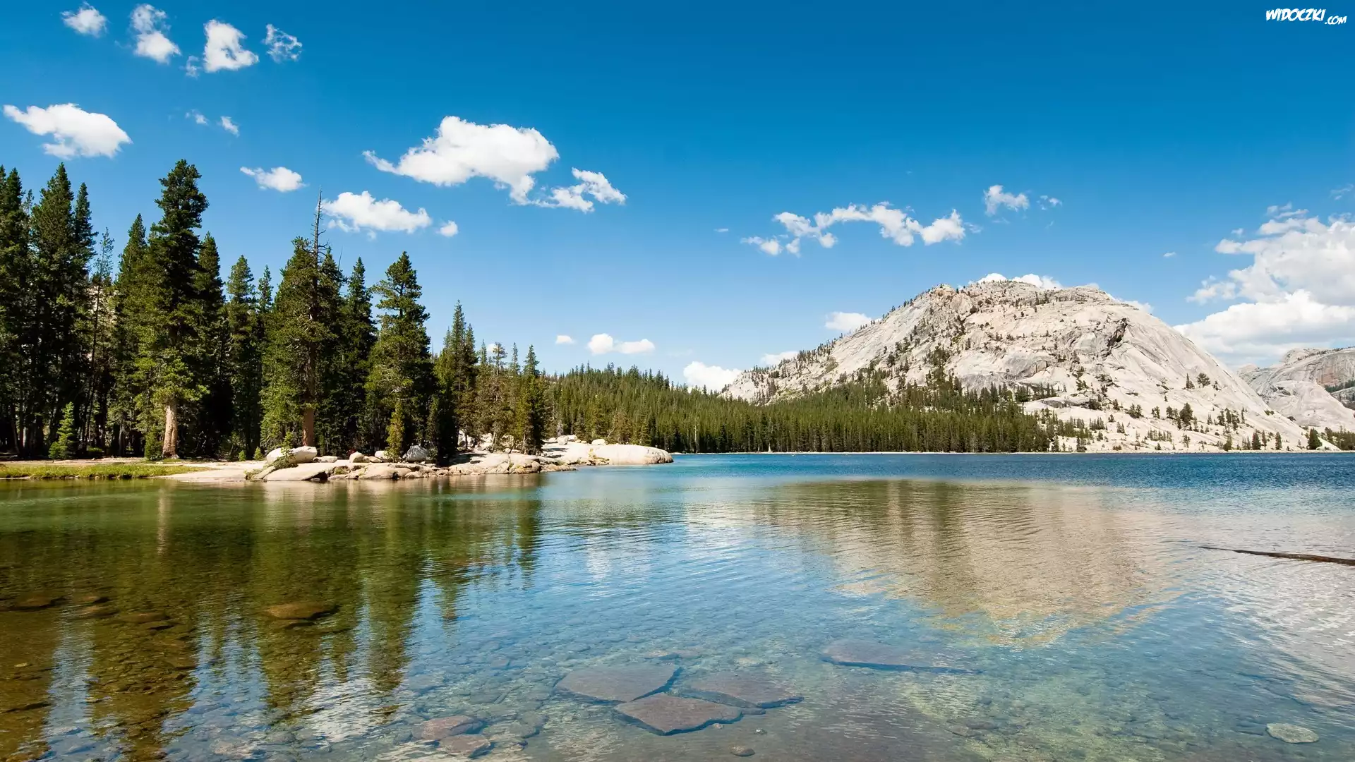 Kalifornia, Park Narodowy Yosemite, Jezioro Tenaya, Góry, Las