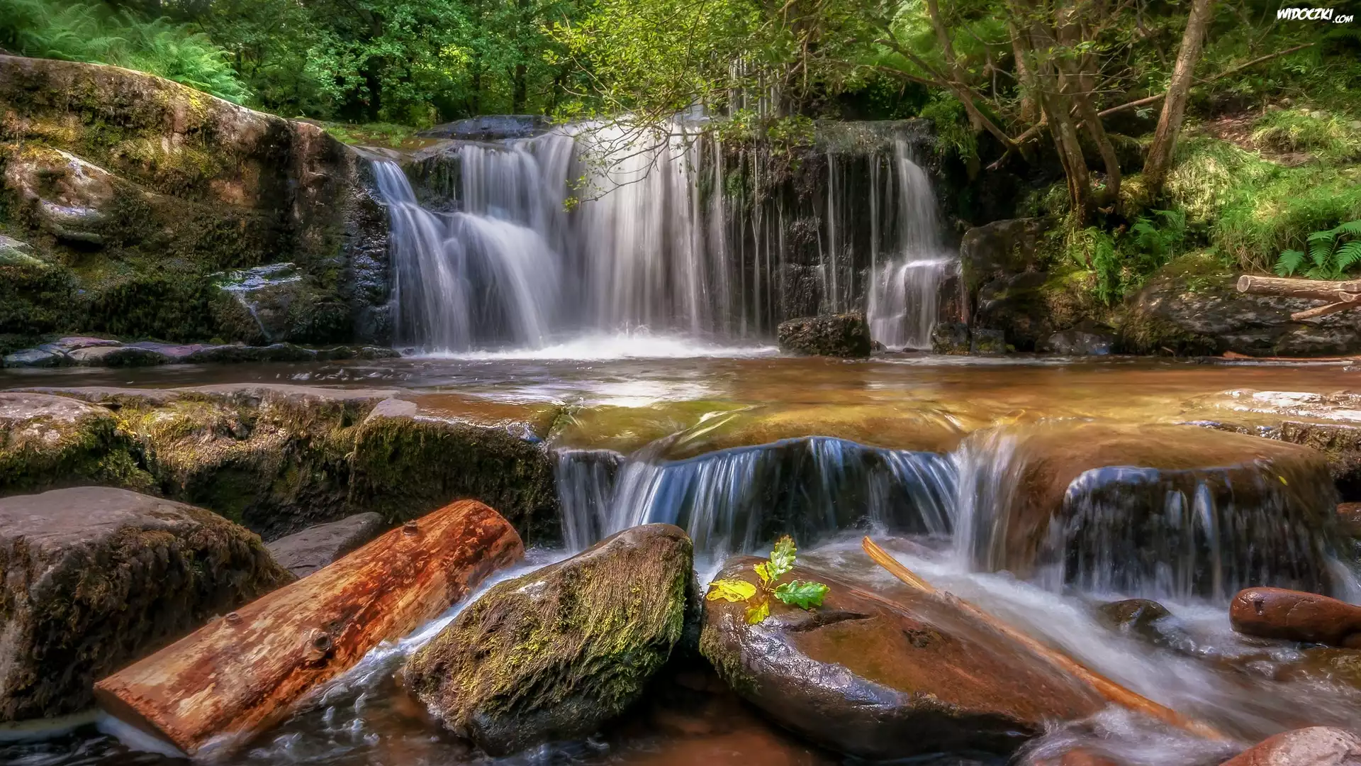 Walia, Park Narodowy Brecon Beacons, Wodospad, Kamienie, Las