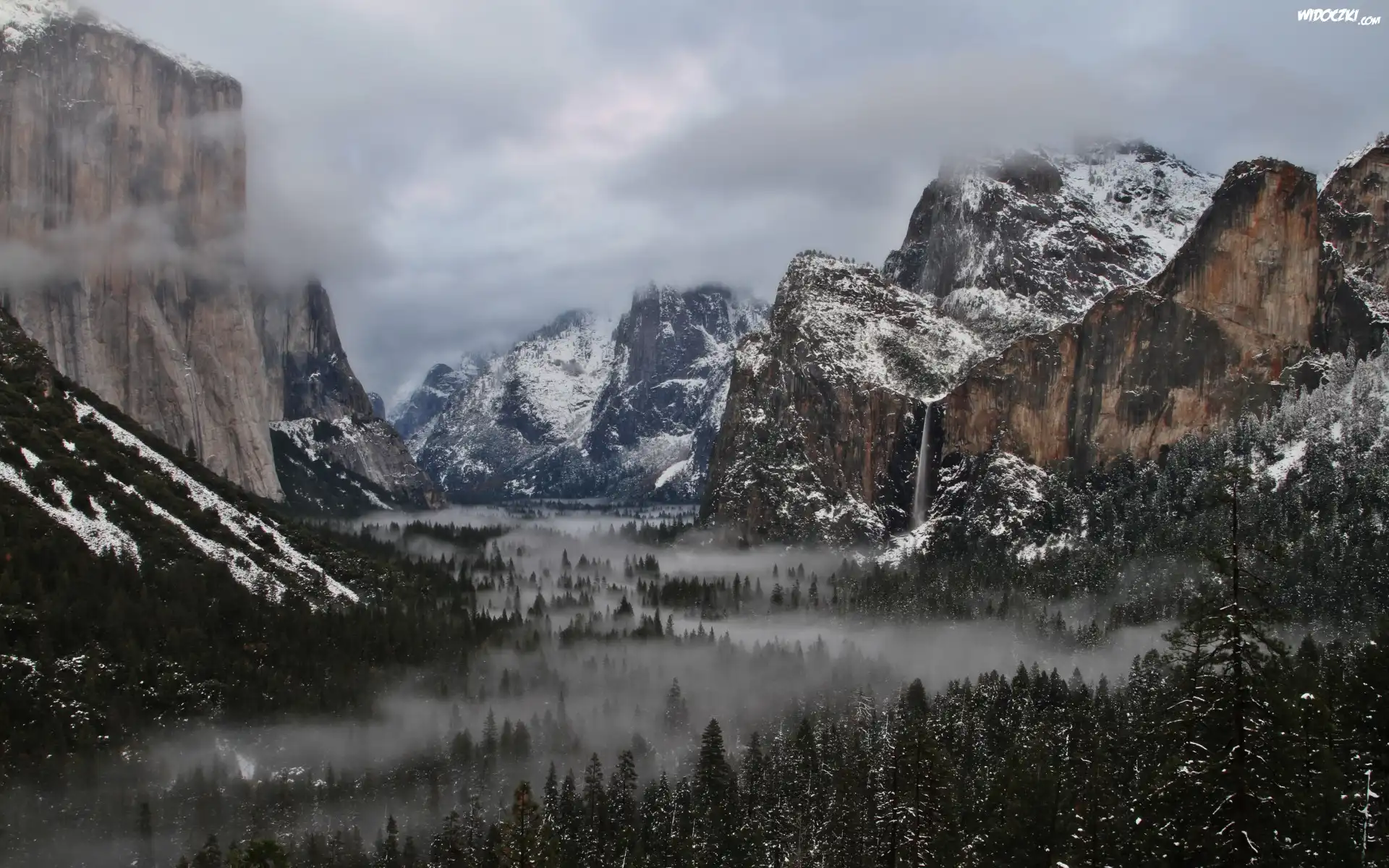 Kalifornia, Park Narodowy Yosemite, Dolina Yosemite Valley, Góry, Lasy, Mgła