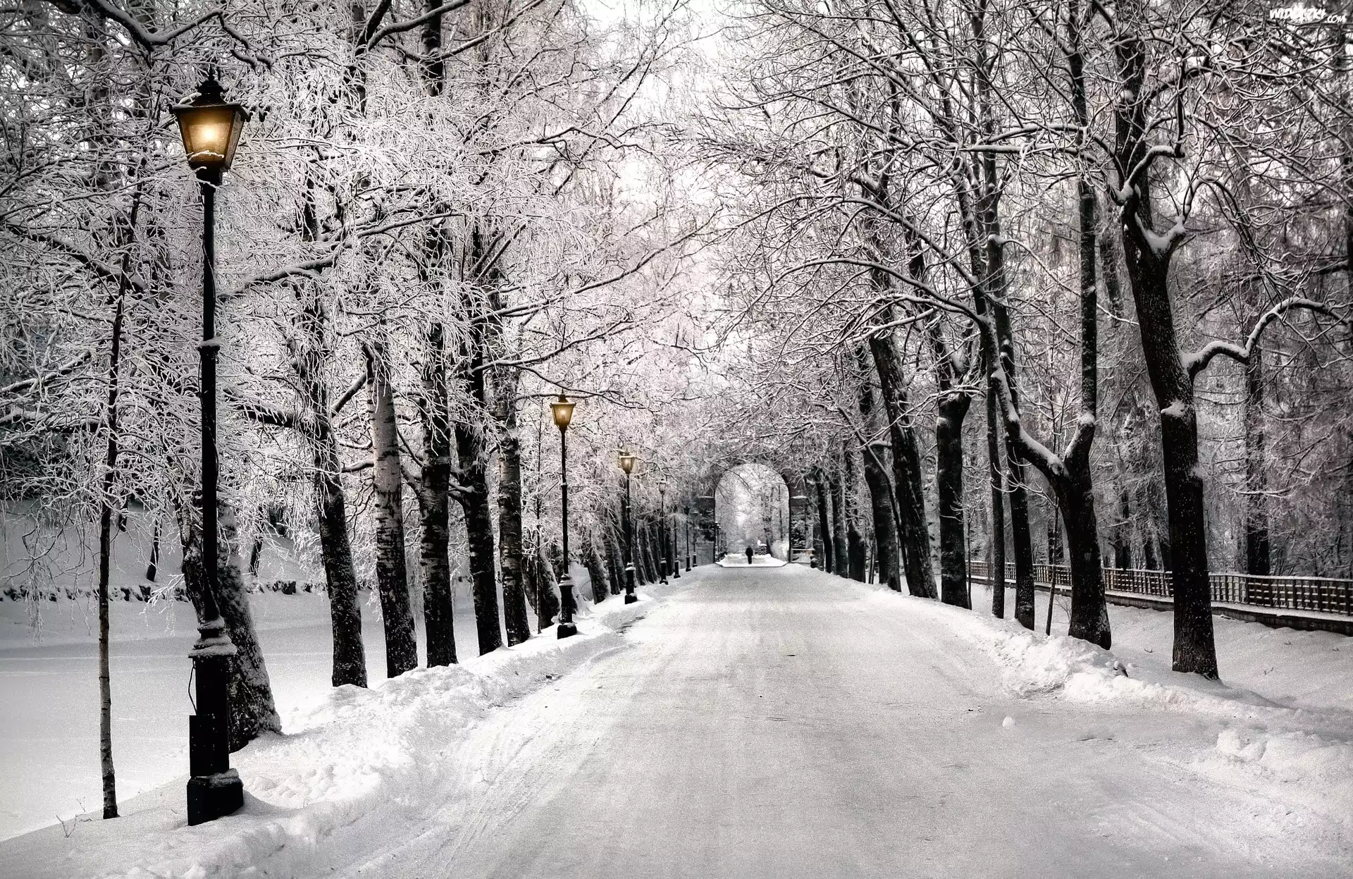 Park, Alejka, Latarnie, Śnieg