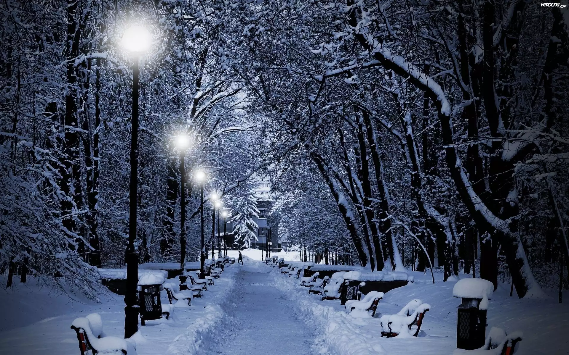 Park, Drzewa, Ławki, Latarnie, Zima