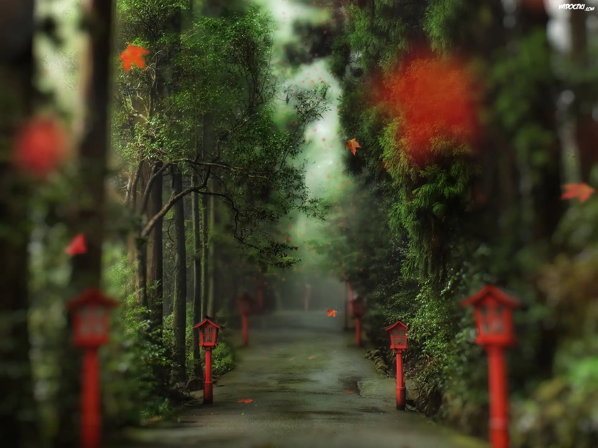 Park, Aleja, Czerwone, Latarnie, Liście