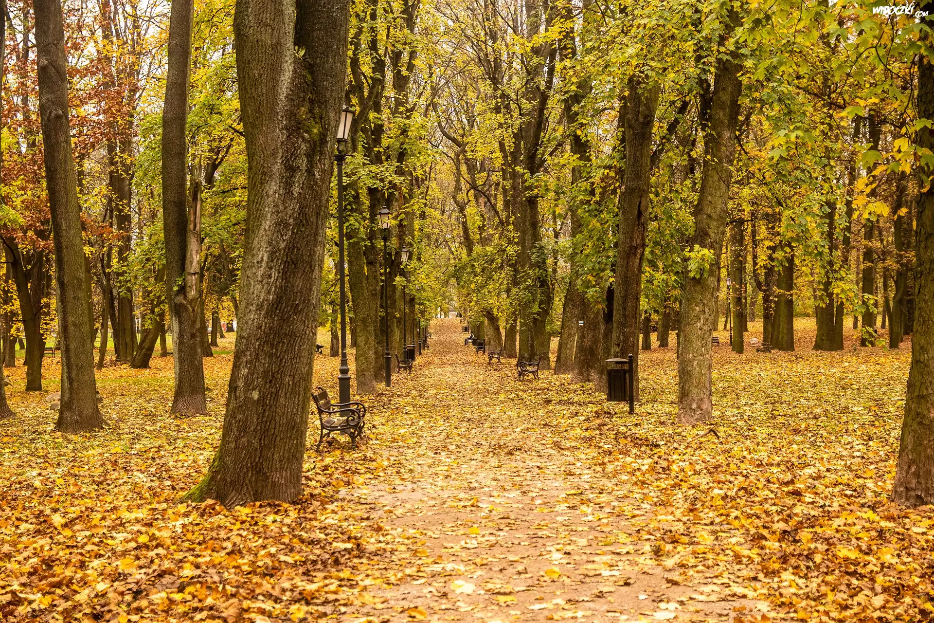 Jesień, Park, Opadłe, Liście, Droga, Drzewa, Ławki, Latarnie