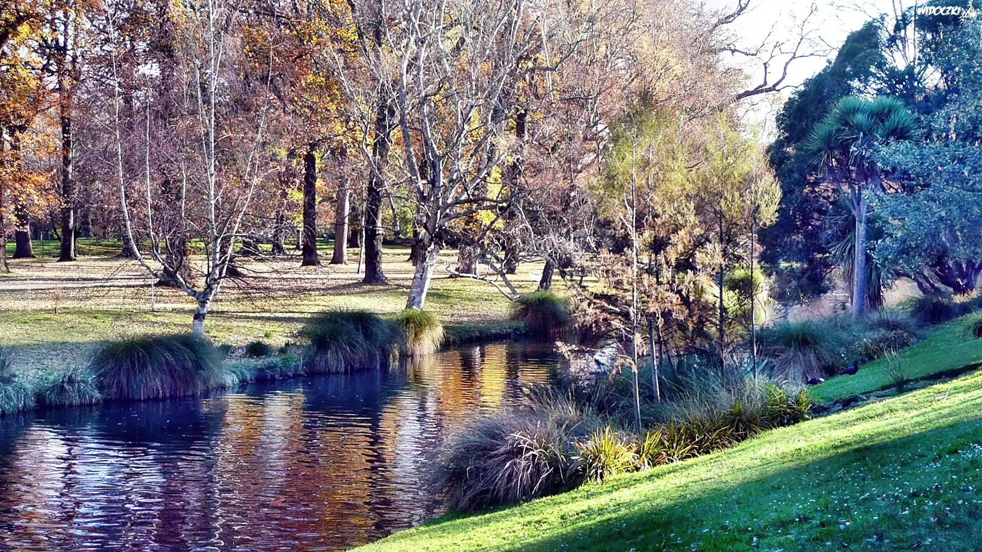 Lato, Park, Rzeka