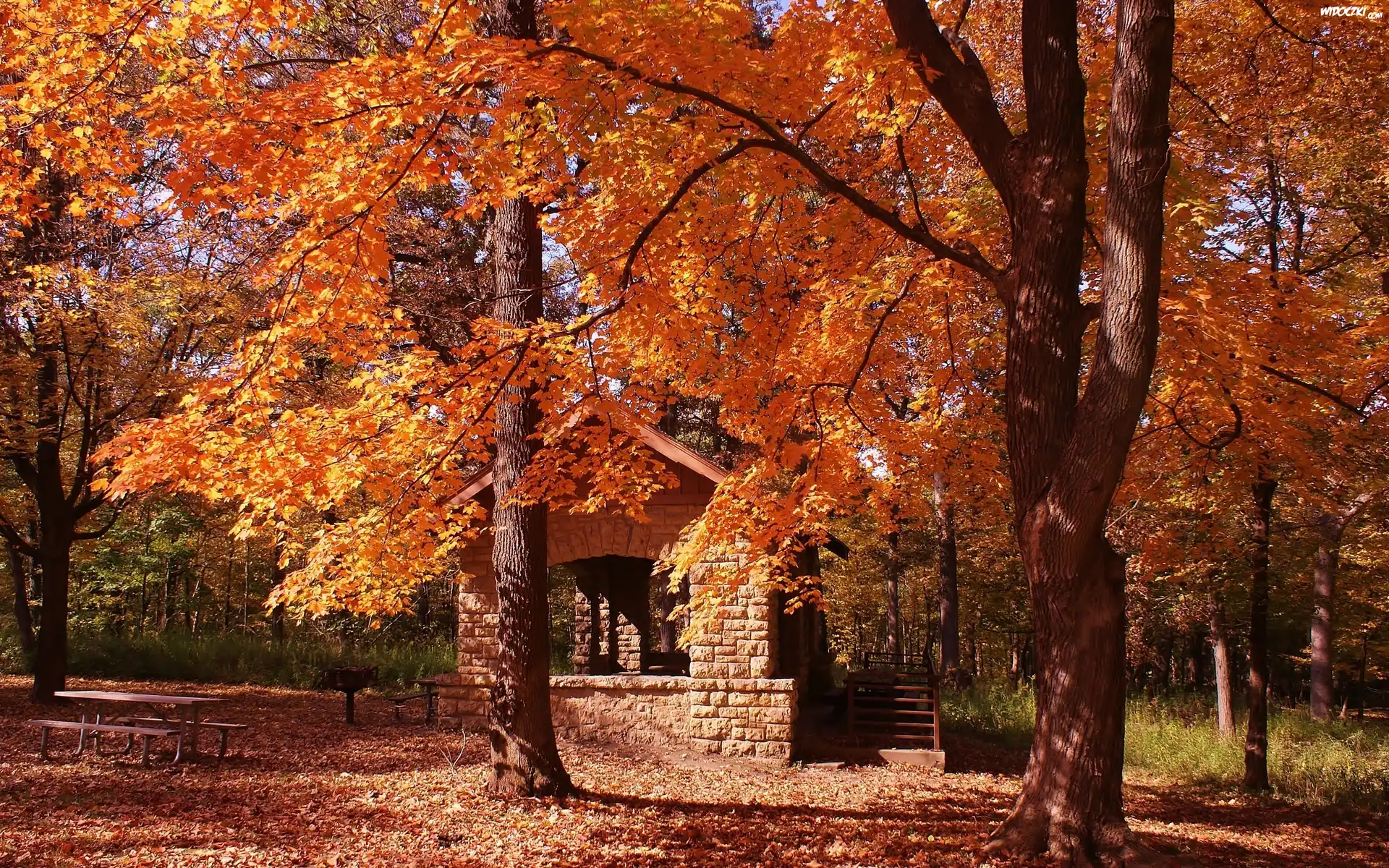 Park, Domek, Ławki, Liście, Jesień