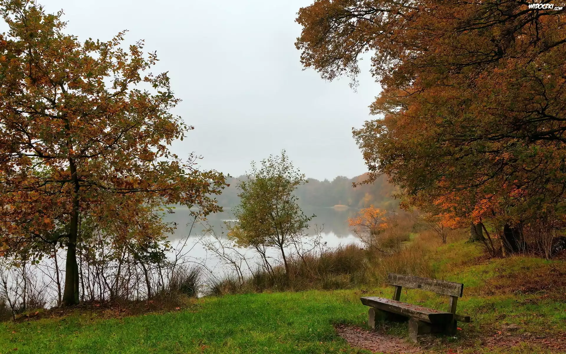 Park, Rzeka, Mgła, Ławeczka