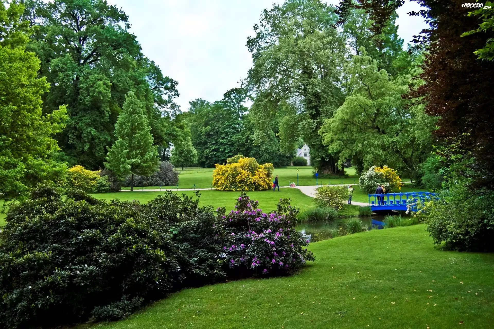 Park, Mostek