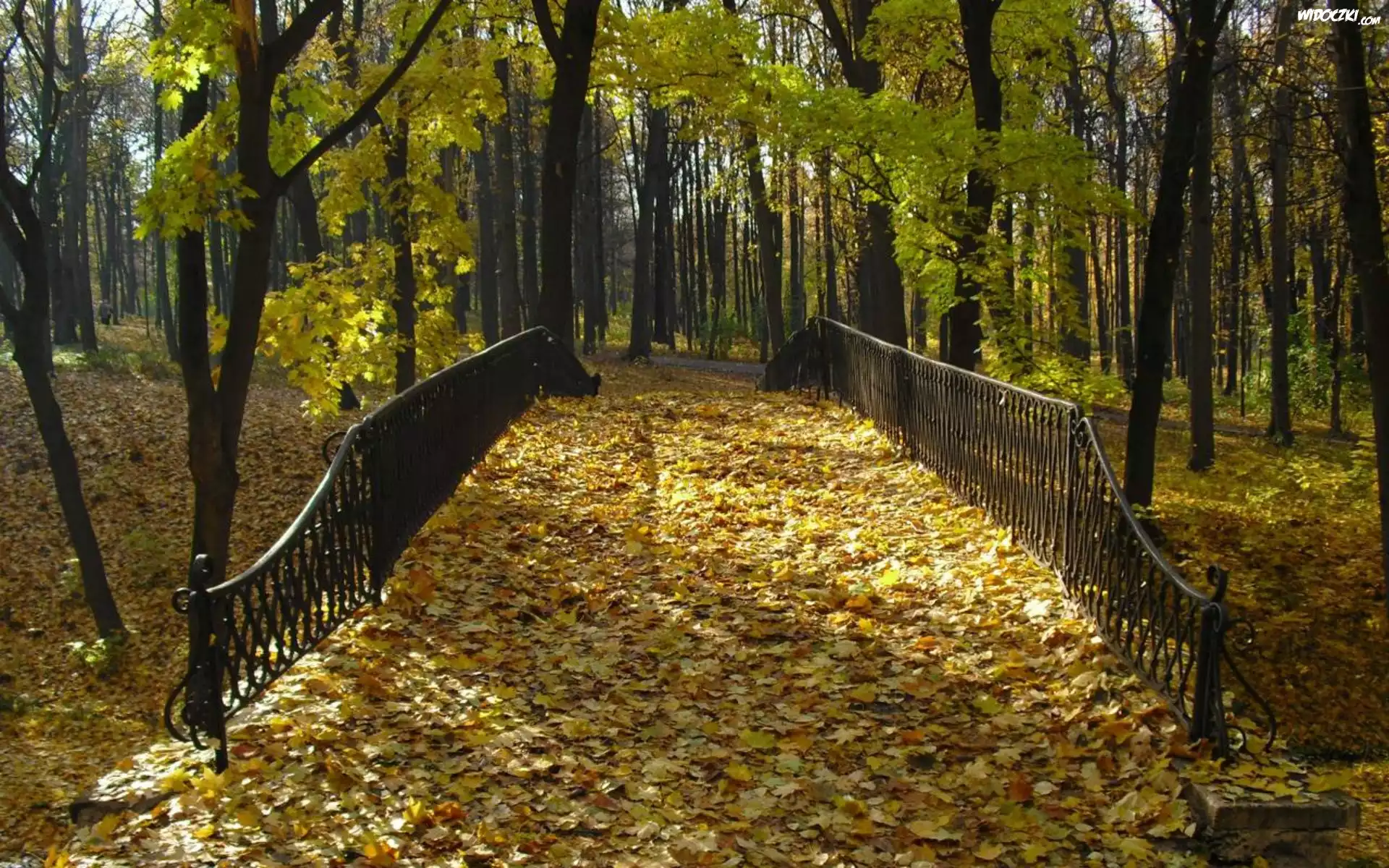 Park, Jesień, Mostek, Liście