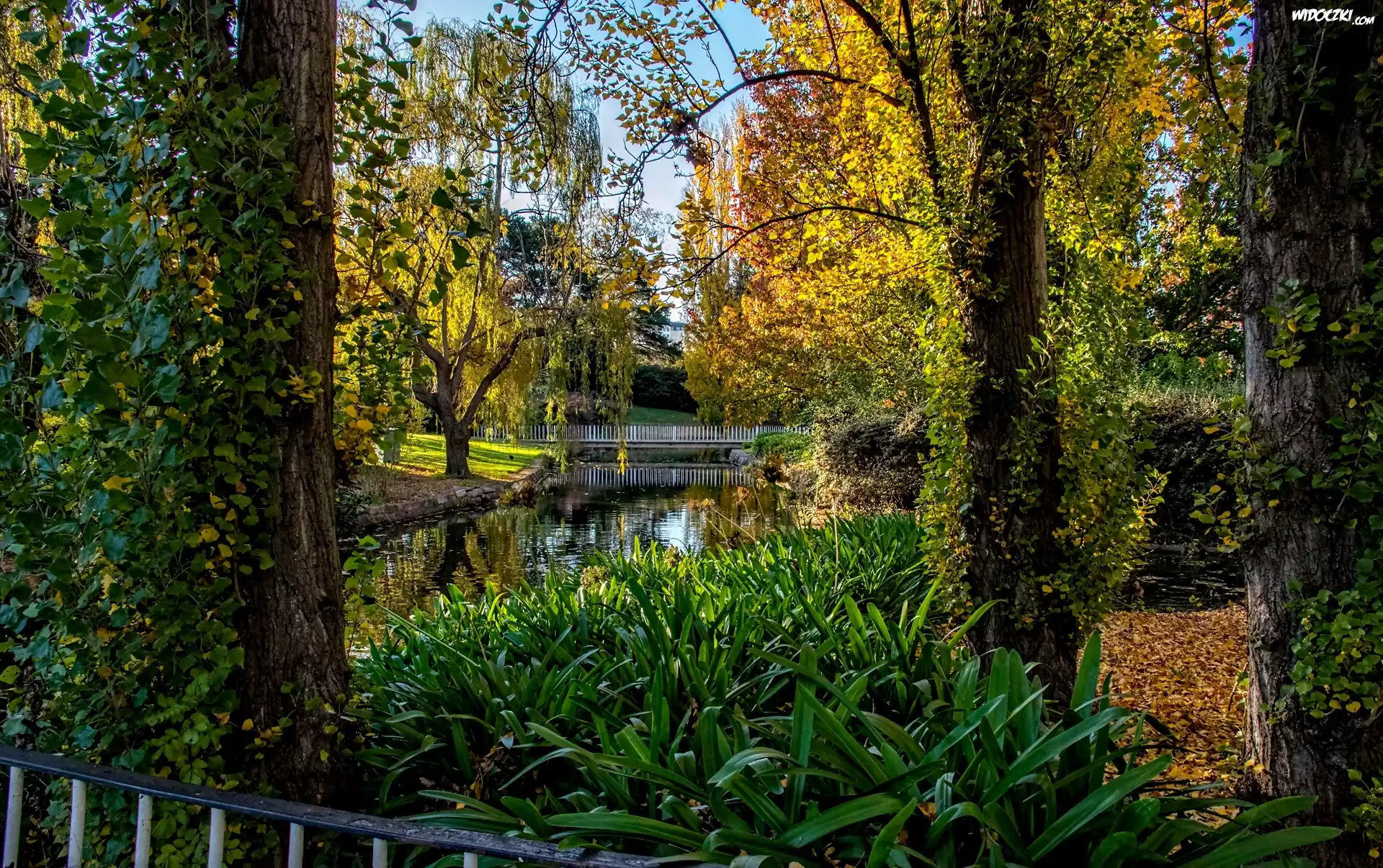 Park, Rzeczka, Mostek, Jesień