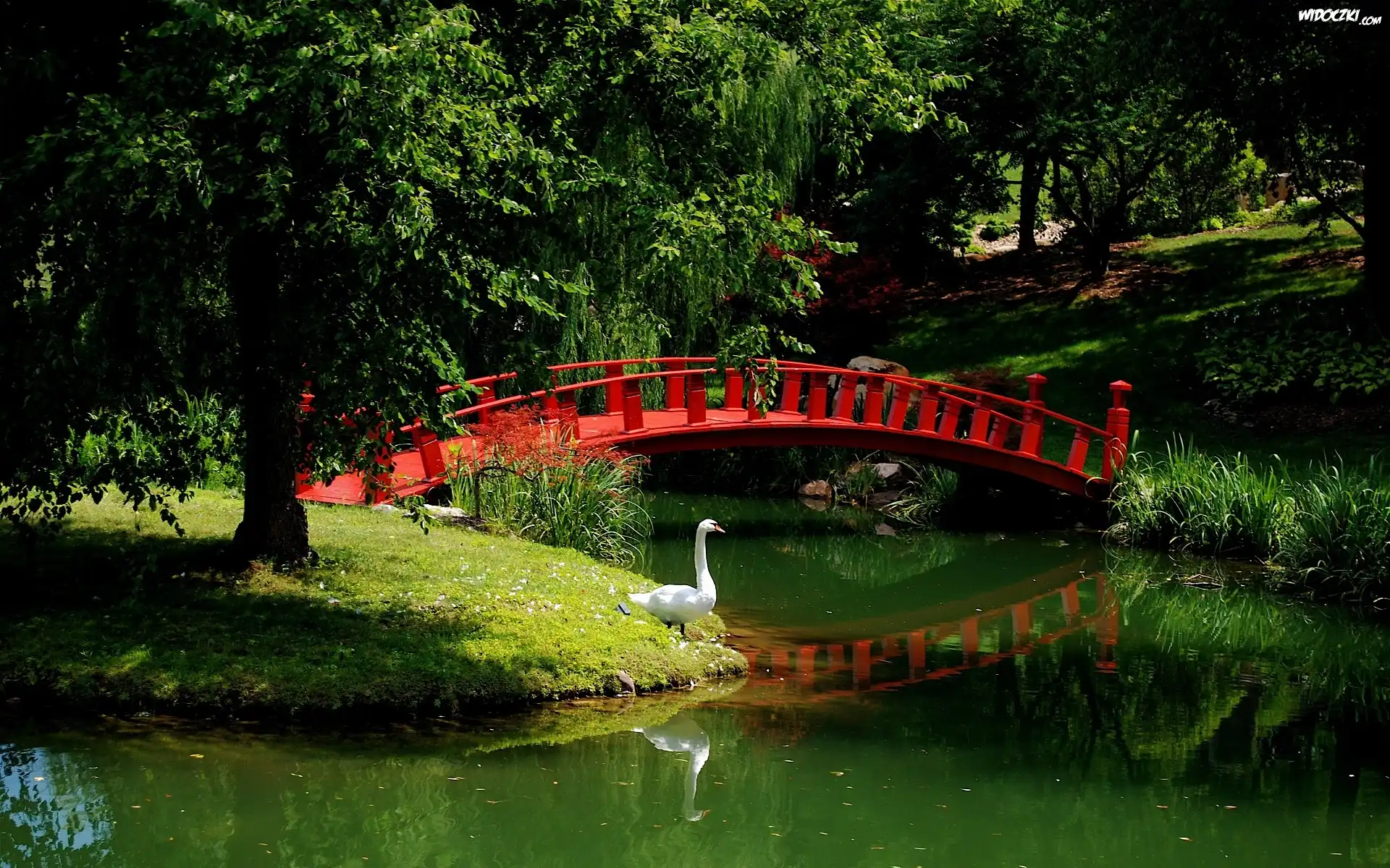 Park, Rzeka, Mostek, Gęś