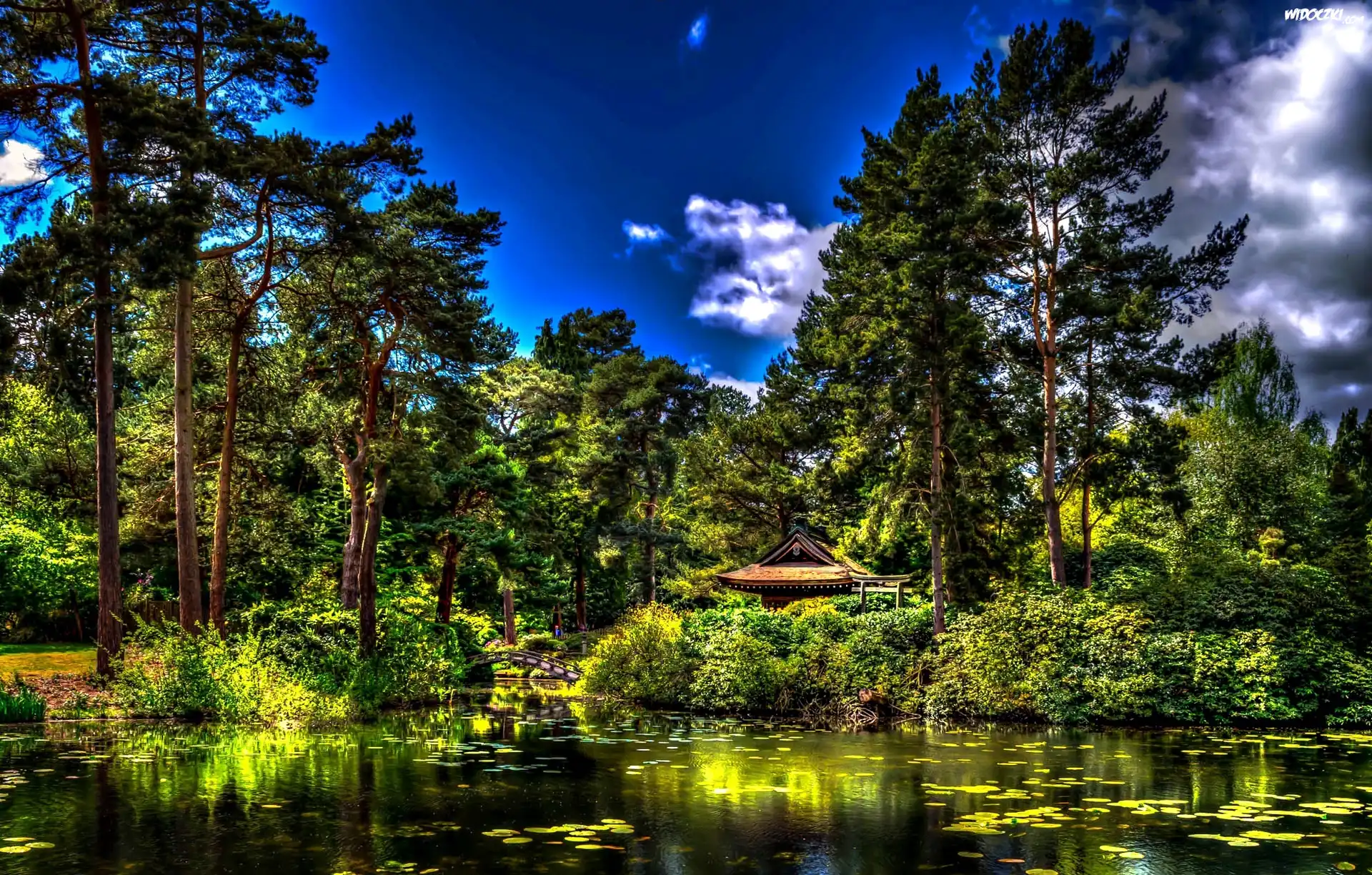 Park, Staw, Mostek, Anglia