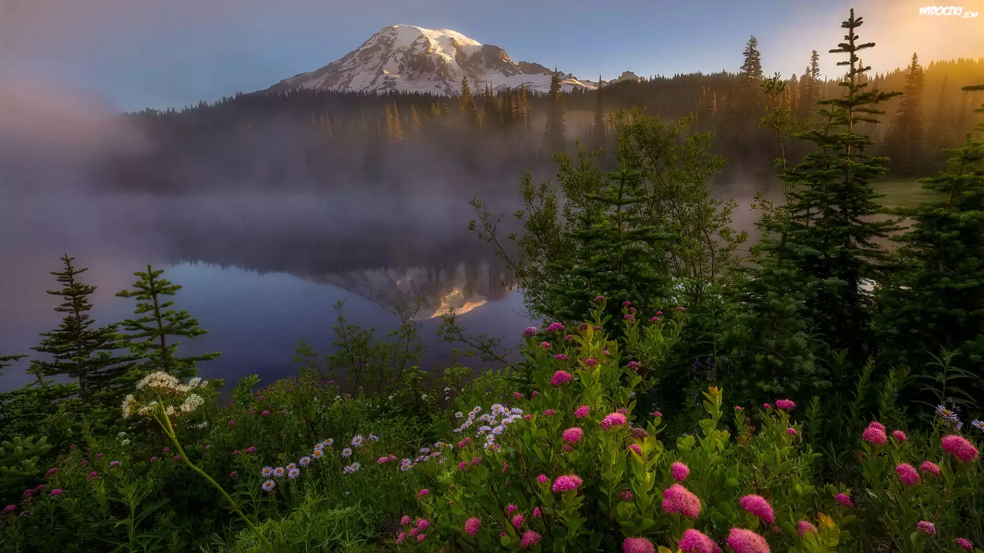 Park Narodowy Mount Rainier, Jezioro Reflection Lake, Góra, Szczyt Mount Rainier, Mgła, Drzewa, Kwiaty, Stan Waszyngton, Stany Zjednoczone